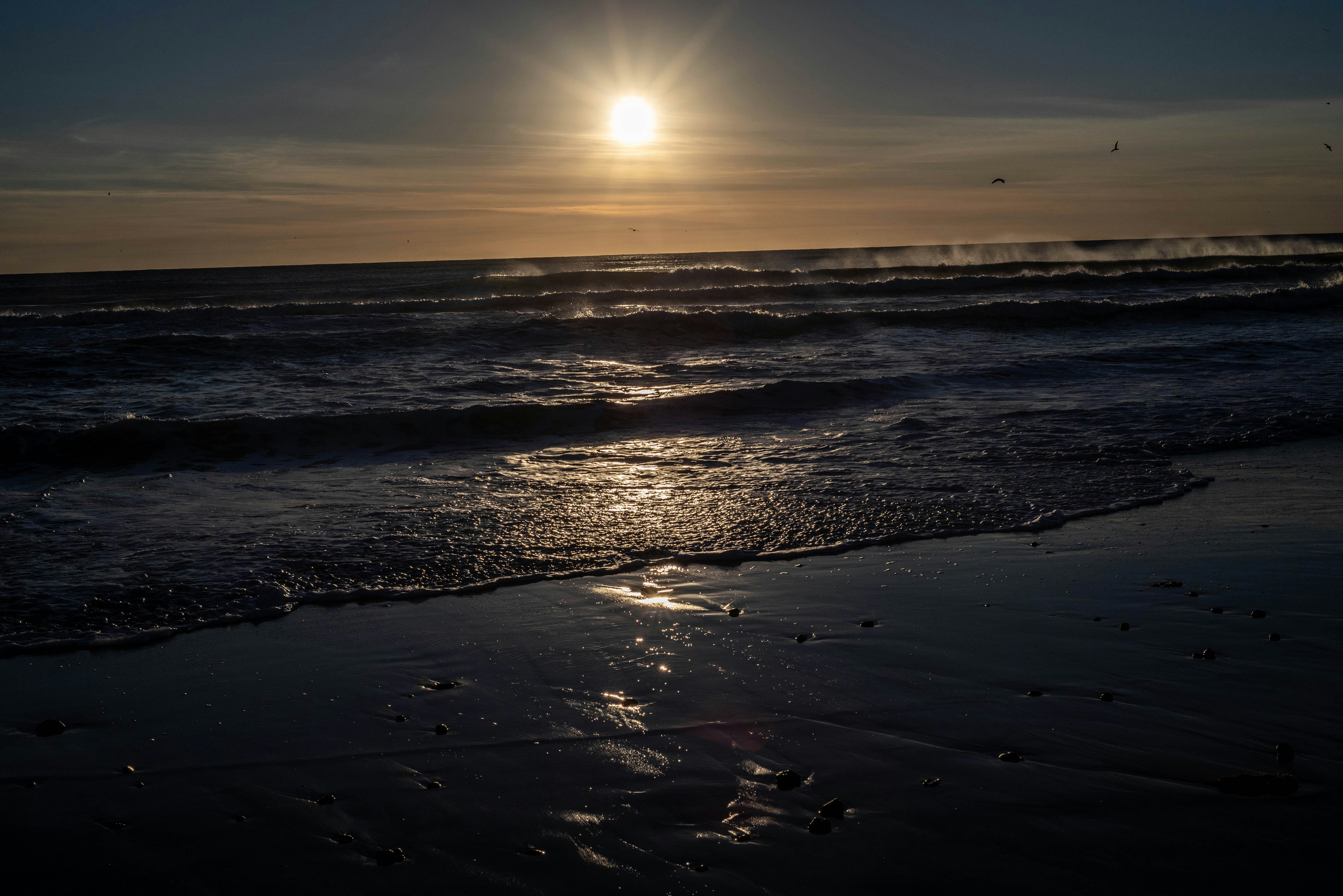 Photo by chabotphoto