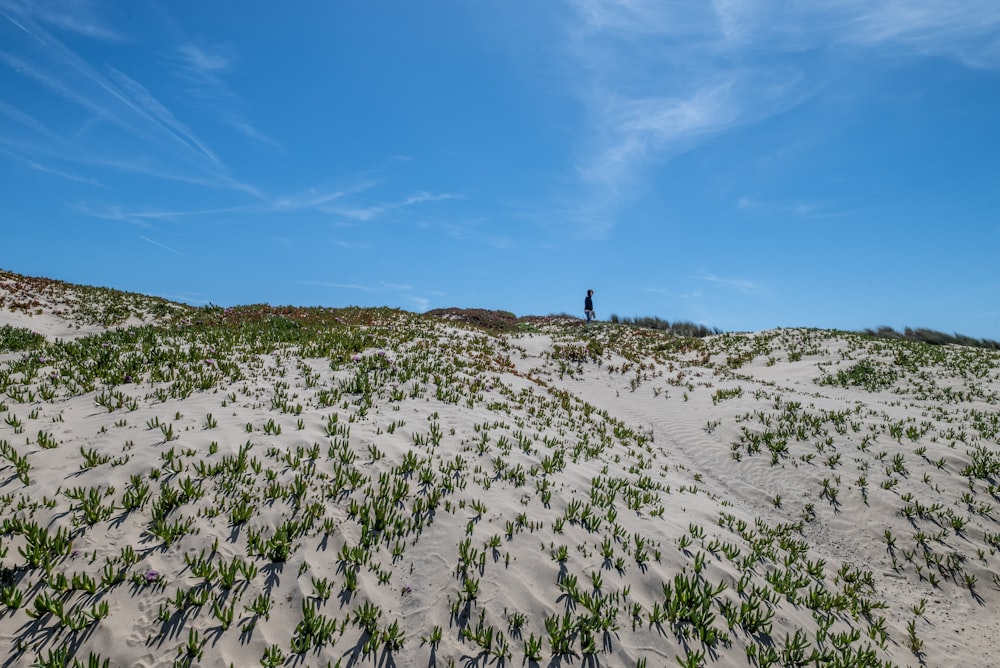 a person standing on top of a sandy hill