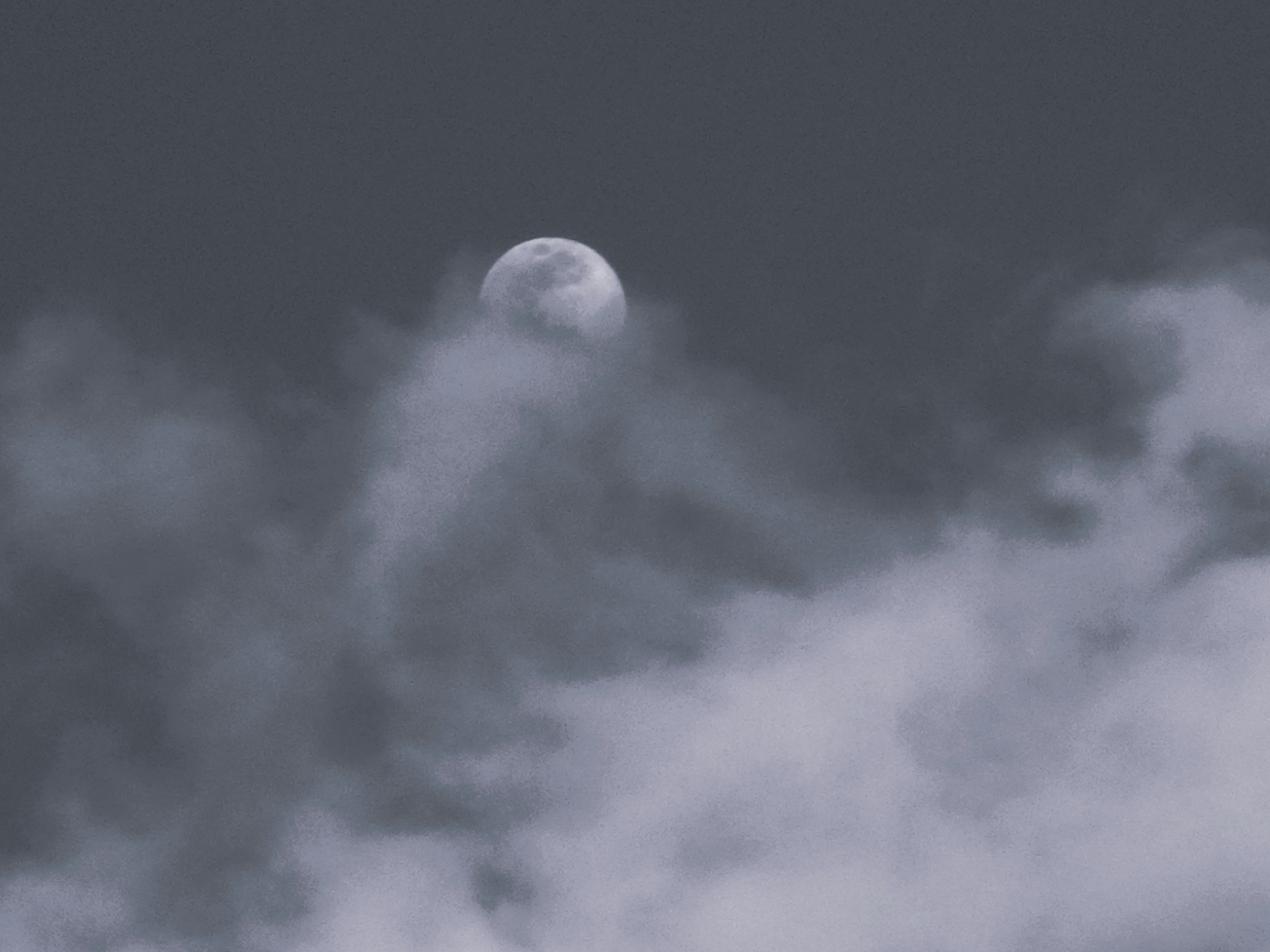 Photo by dominapetric