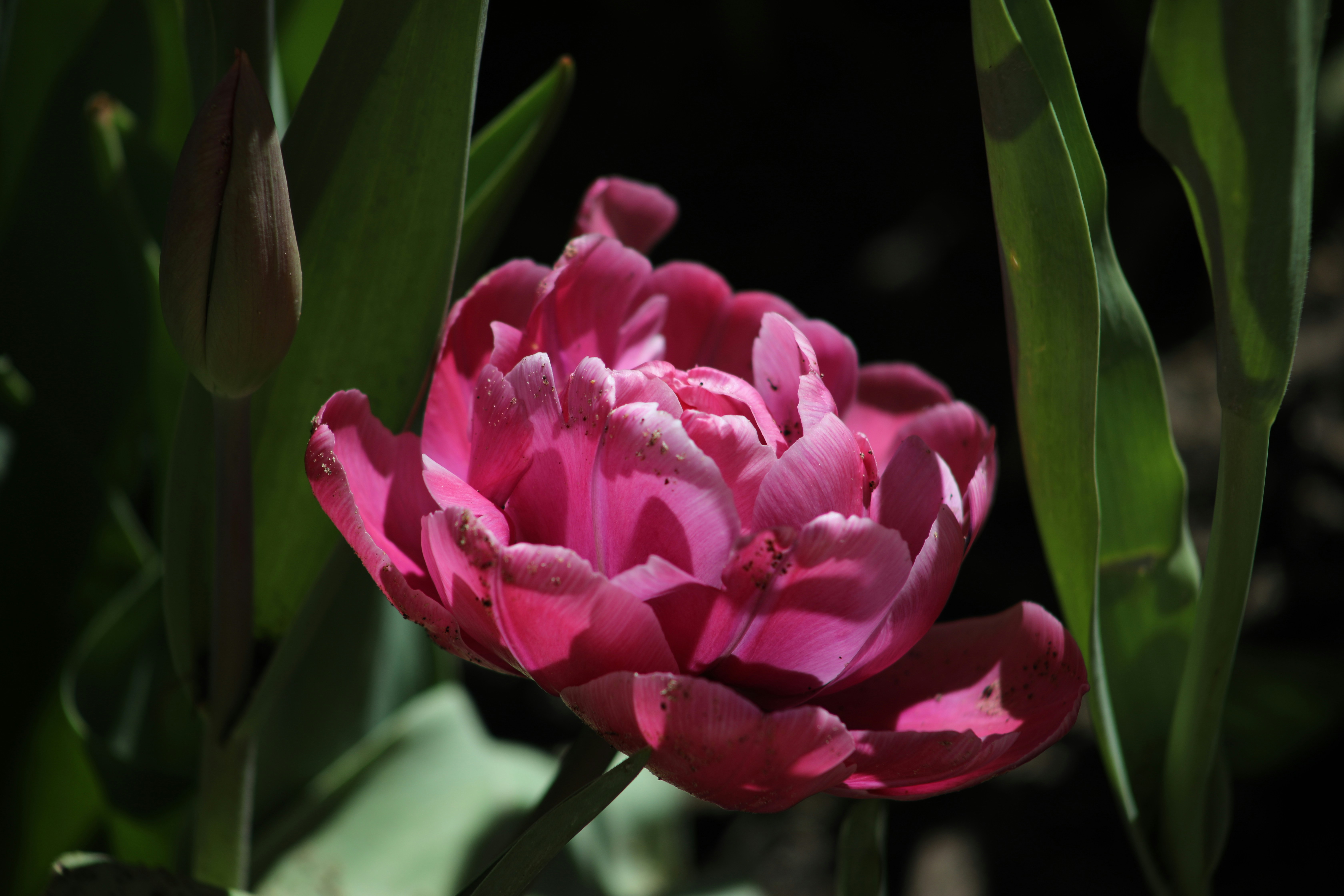 Photo by sarahscraftography