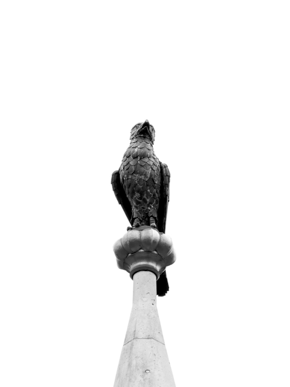 Una foto en blanco y negro de un pájaro posado en lo alto de un poste