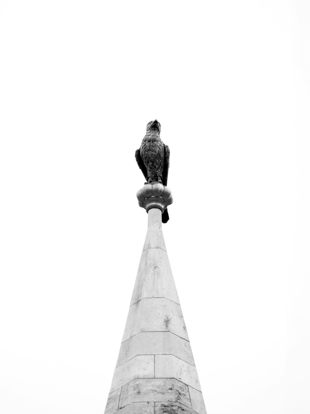 una foto in bianco e nero di una statua di un uccello