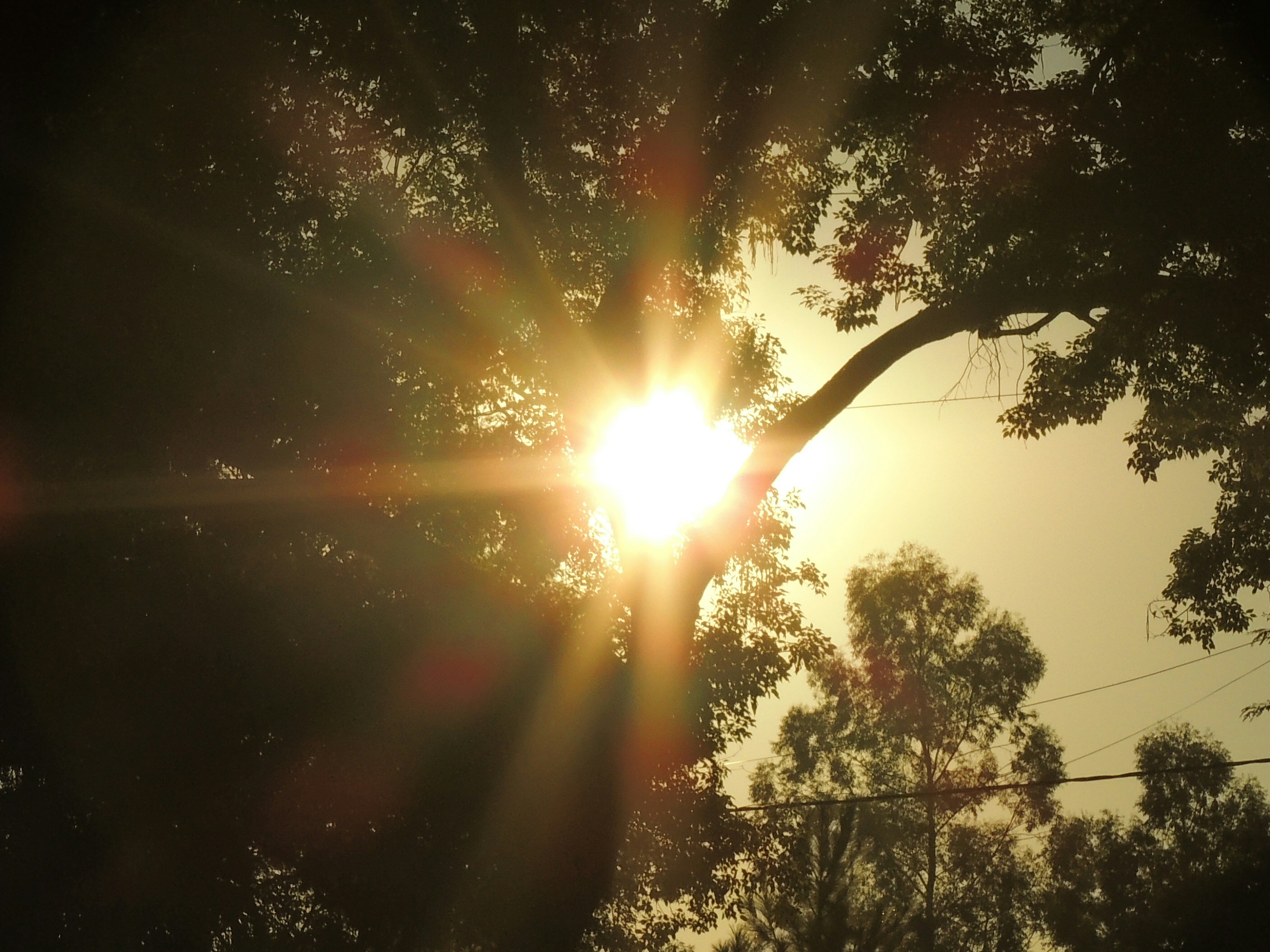 Photo by sunshinestudio82