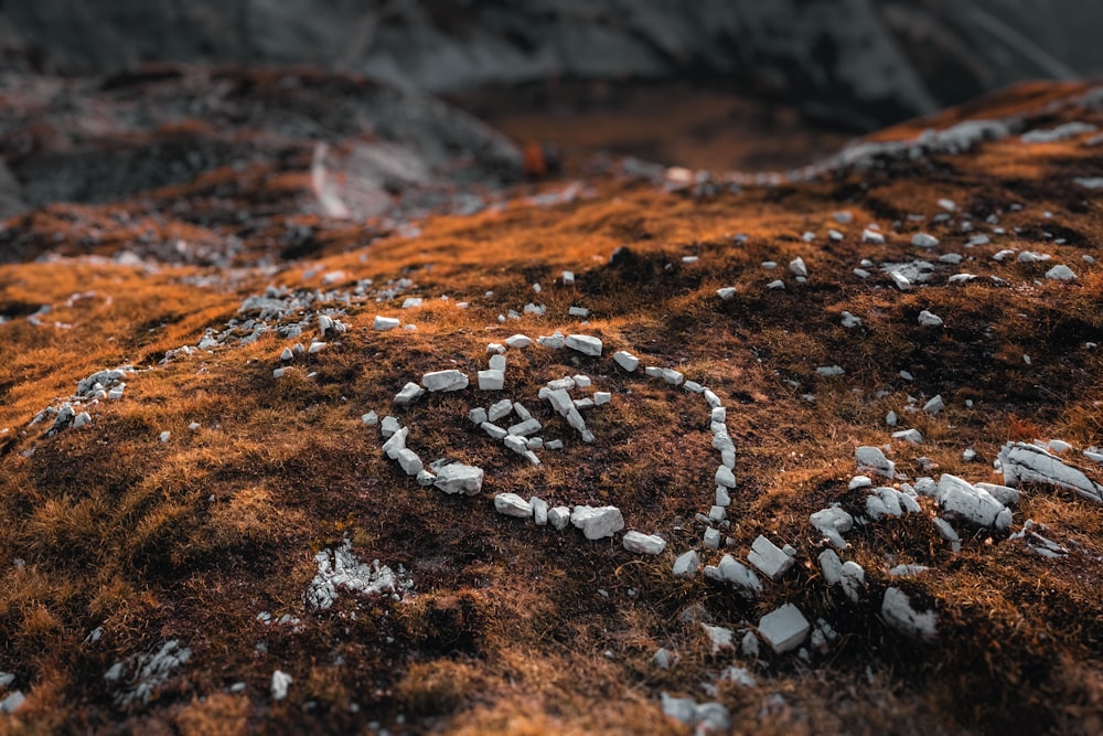 a rock with a heart drawn on it