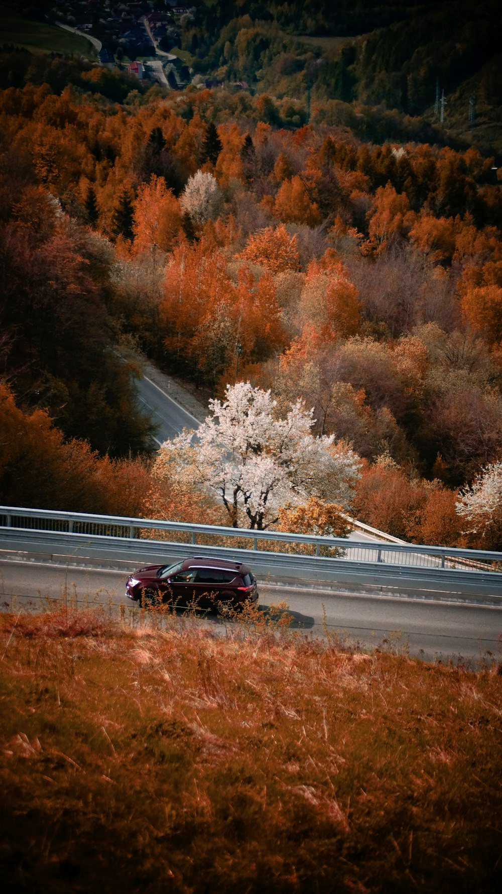 a car driving down a road next to a lush green hillside