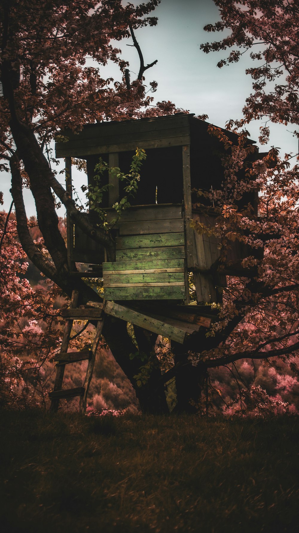a tree house sitting in the middle of a forest