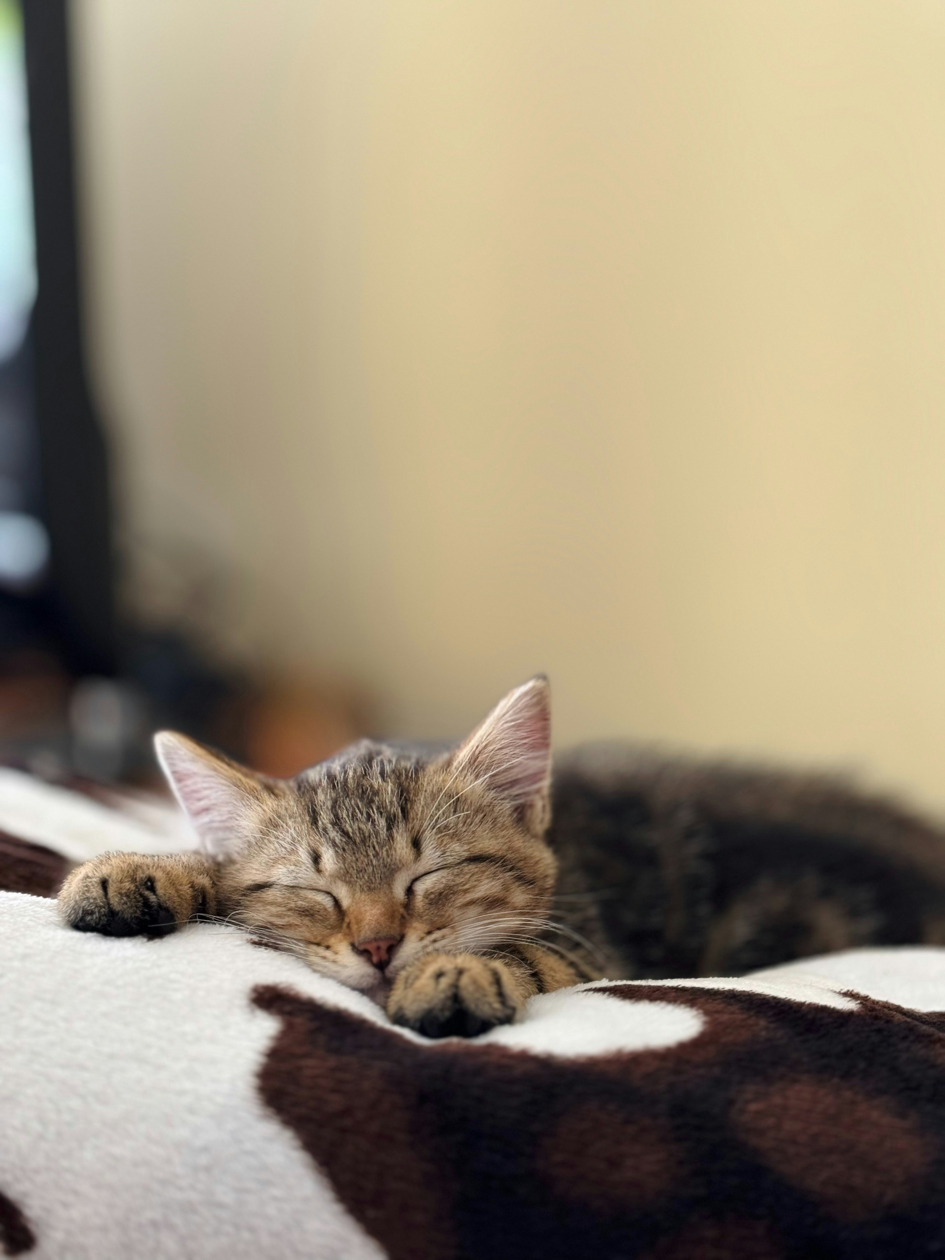 Photo by christiantv