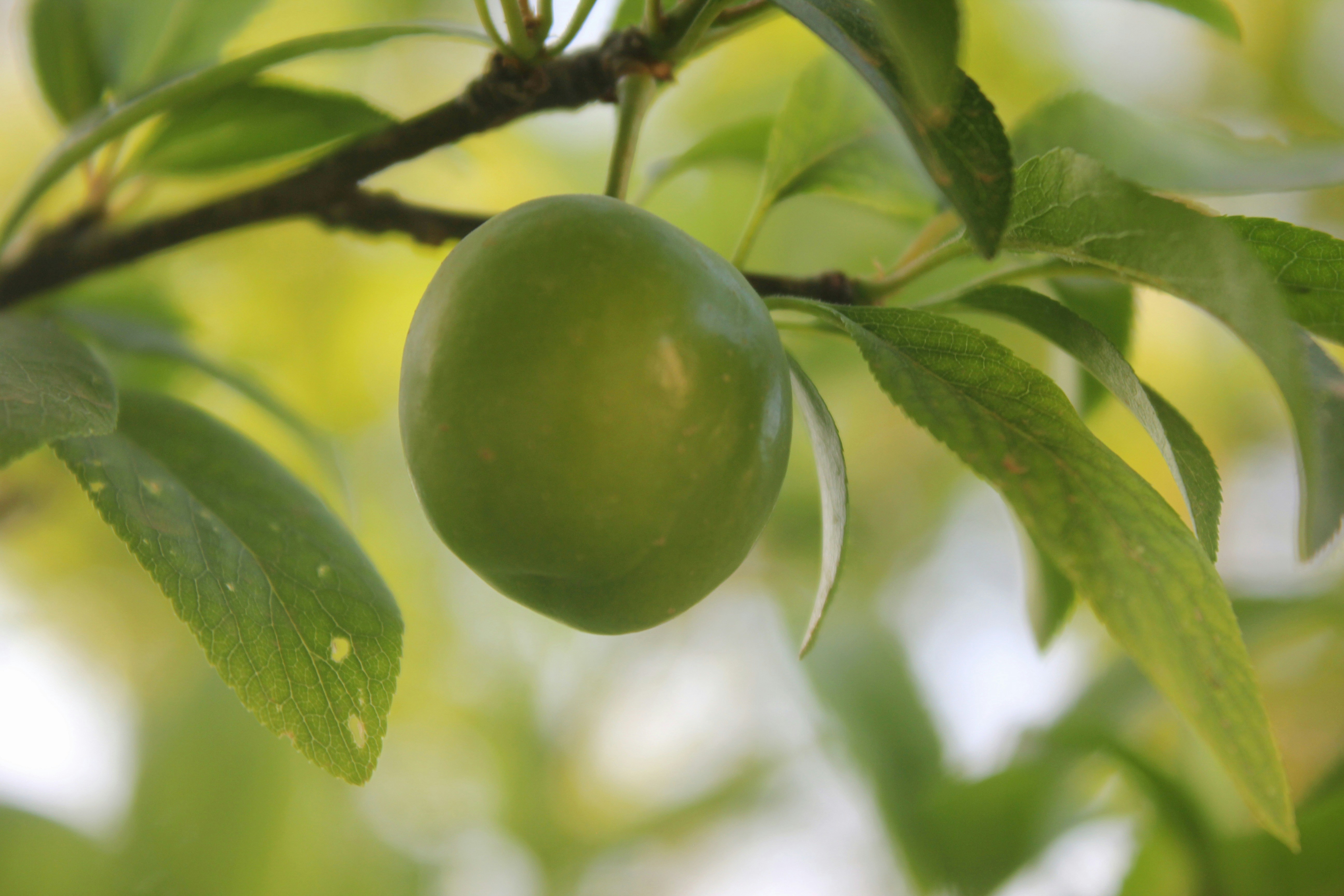 Photo by manavimoghadam