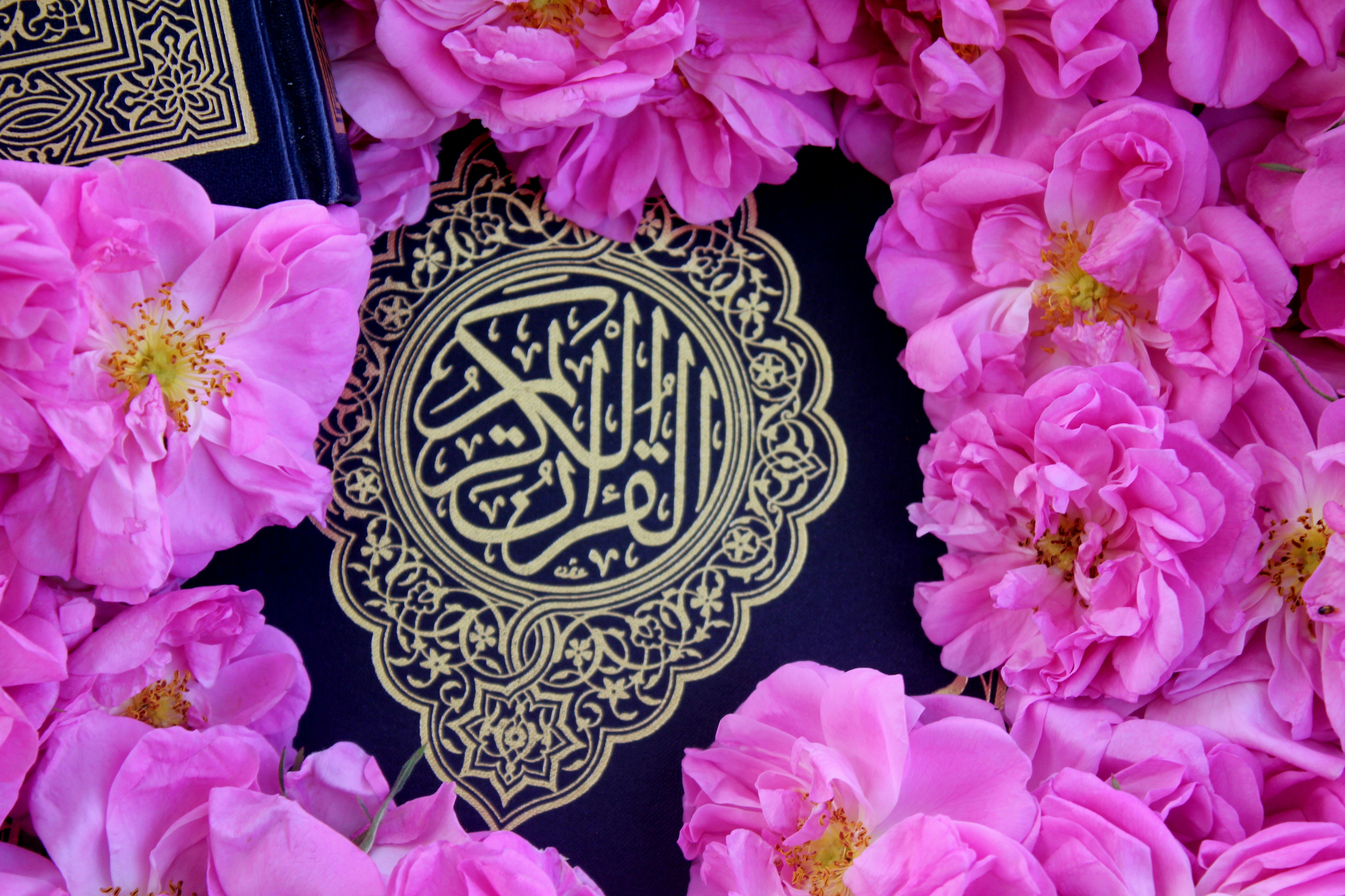 islamic prayer wallpaper, wallpaper, Sejarah Qunut: Asal Usul, Hukum, dan Praktiknya 6