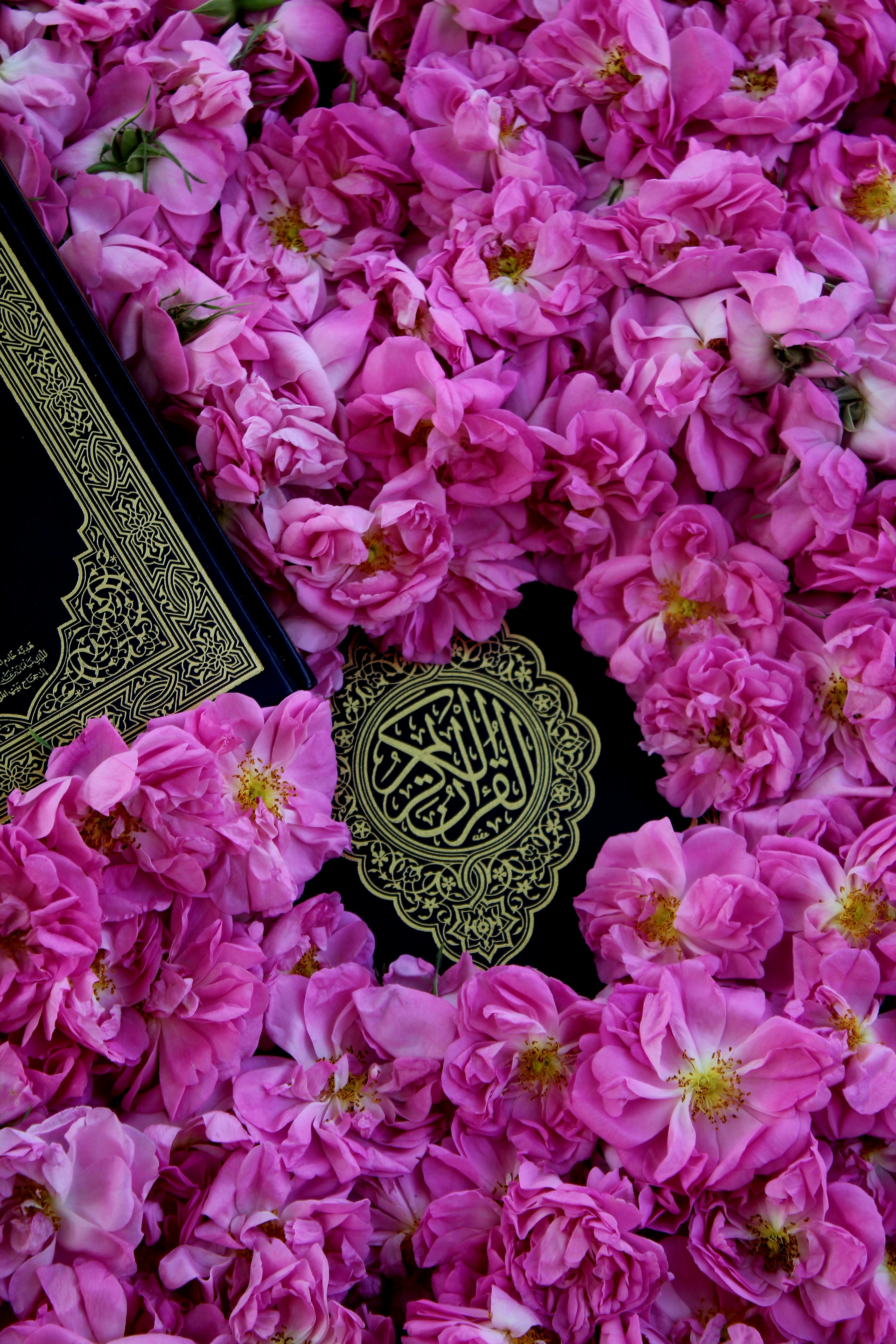 Photo by manavimoghadam