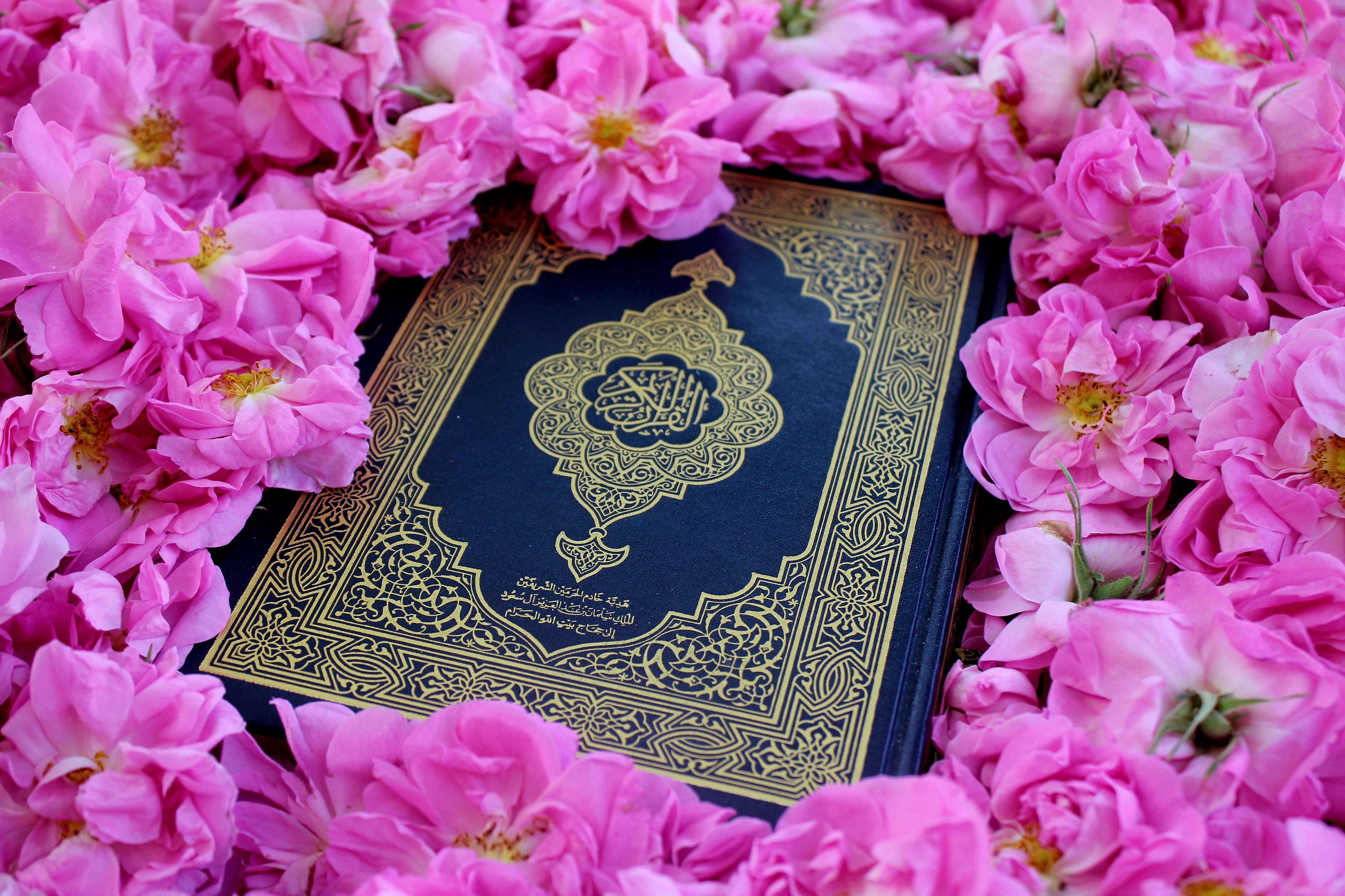 Photo by manavimoghadam