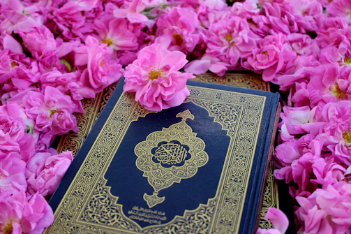 a blue and gold book surrounded by pink flowers