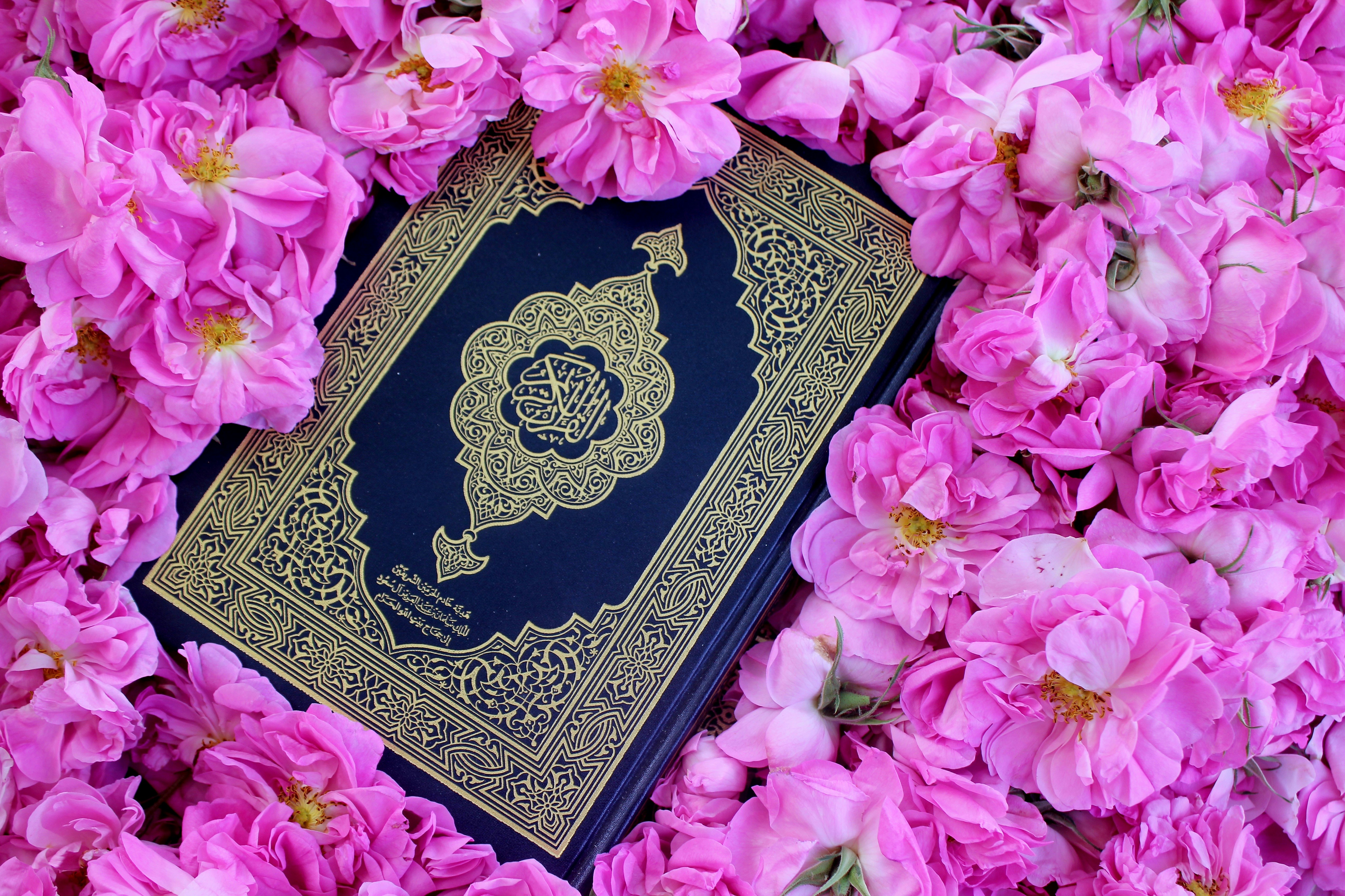 Photo by manavimoghadam