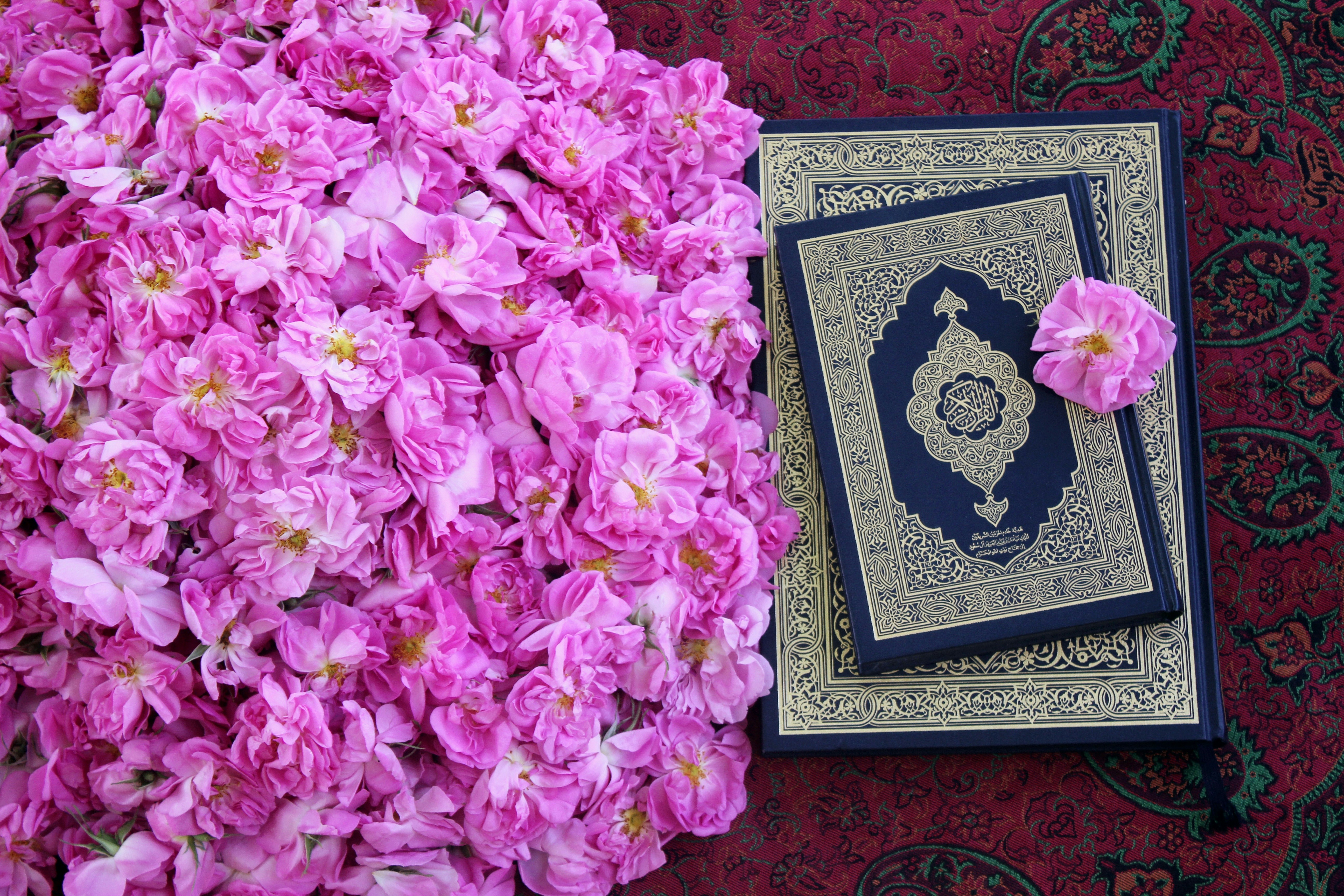 islamic prayer wallpaper, wallpaper, Sejarah Qunut: Asal Usul, Hukum, dan Praktiknya 5