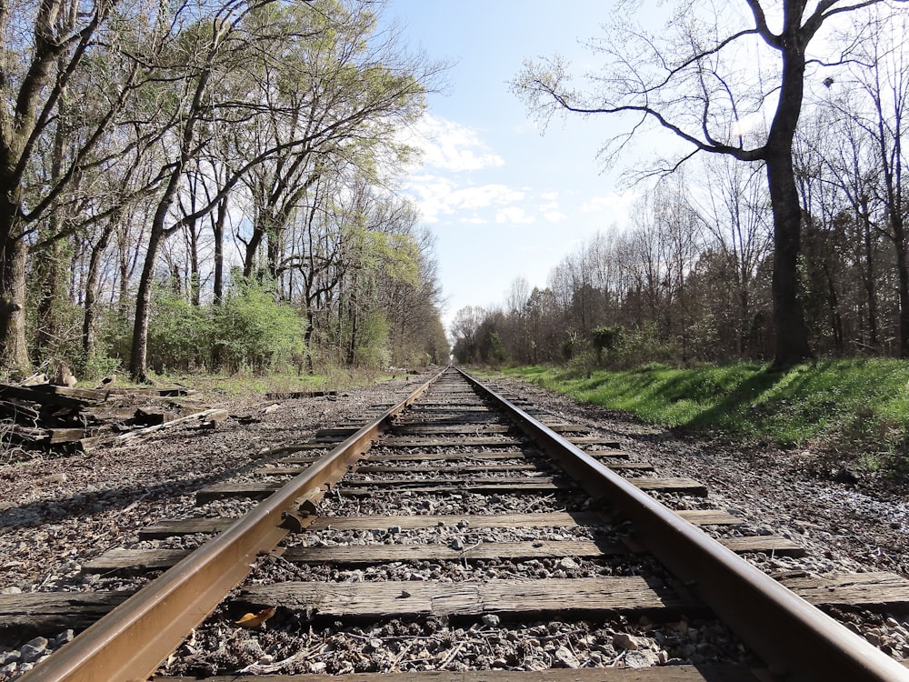 a train track in the middle of a wooded area