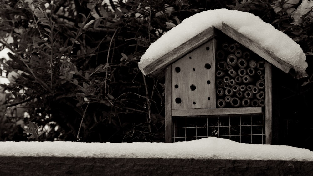 a bird house covered in snow next to a bush