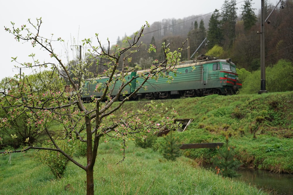 a green train traveling through a lush green countryside