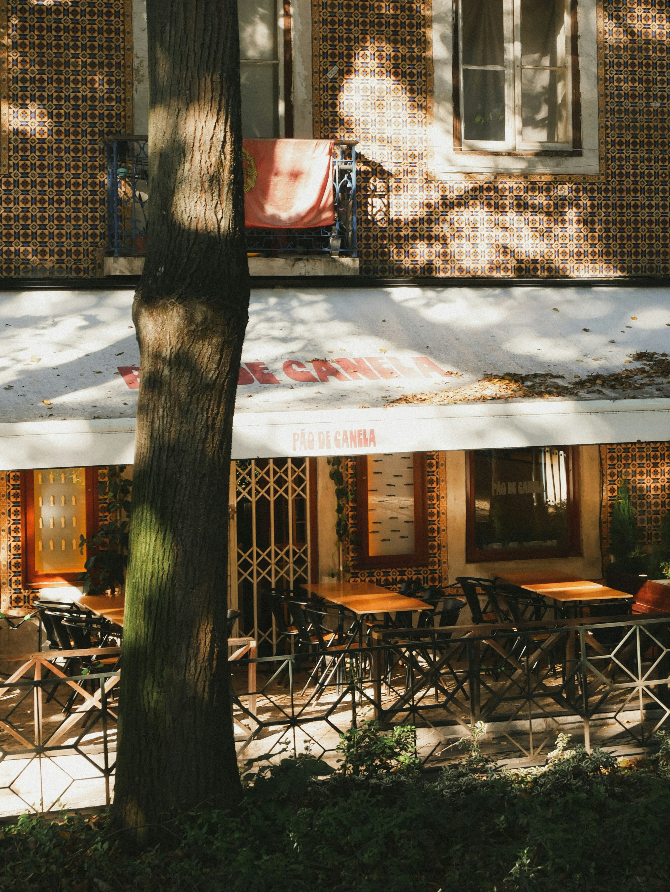 Photo by celinevarkevisser