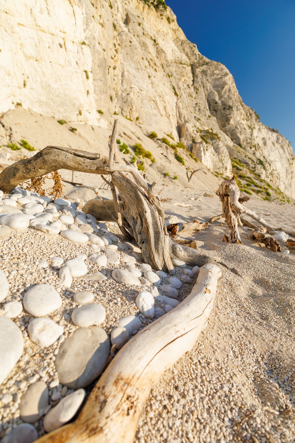 a rock and driftwood on a beach with a cliff in the background