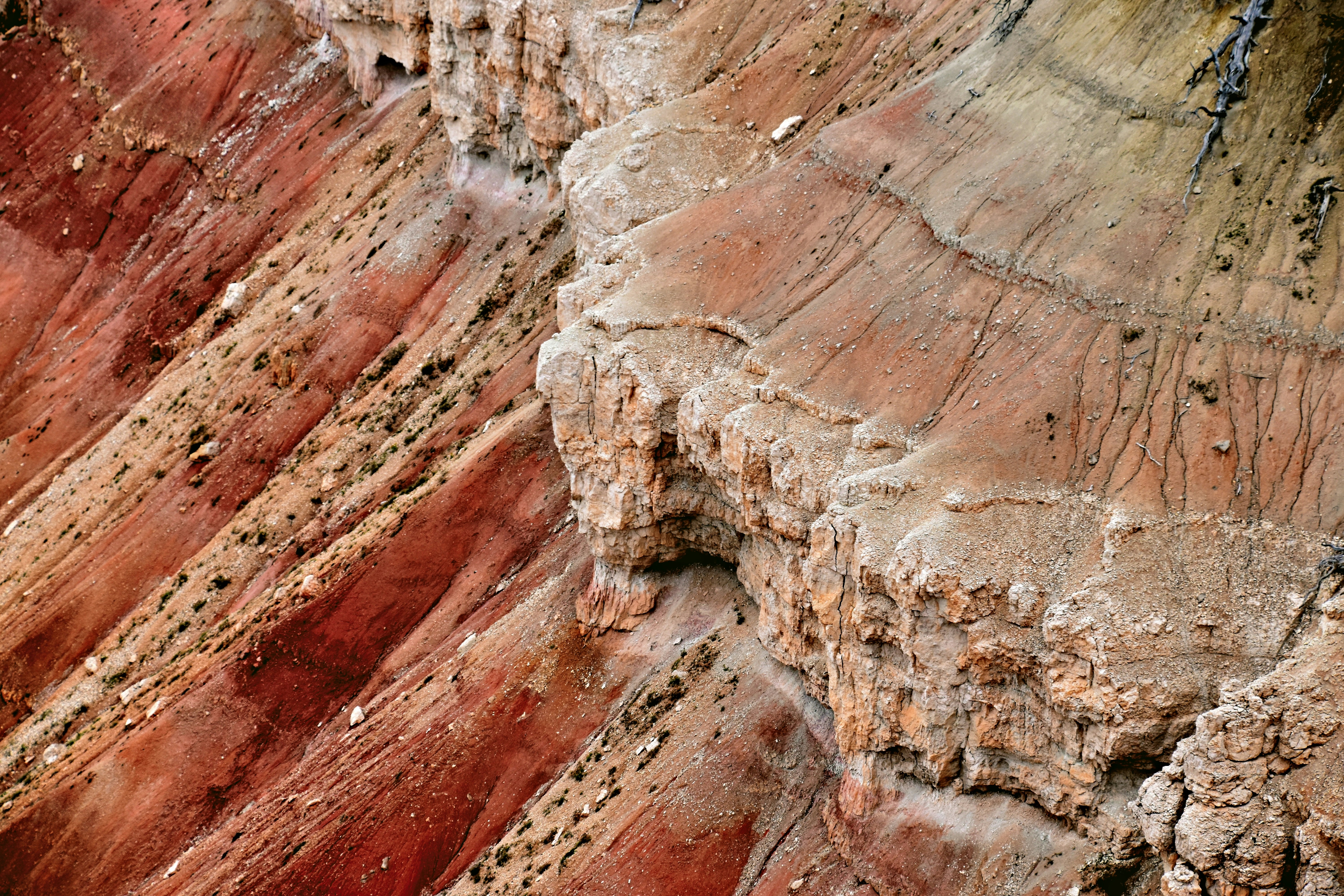 a bird is perched on a rock formation