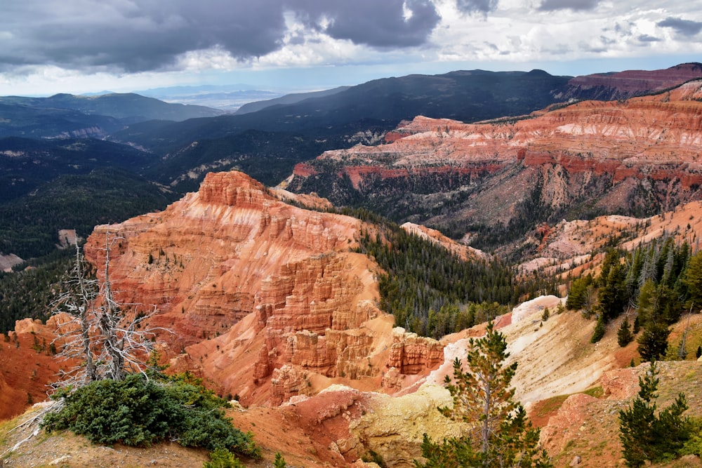 a scenic view of a mountain range with trees in the foreground