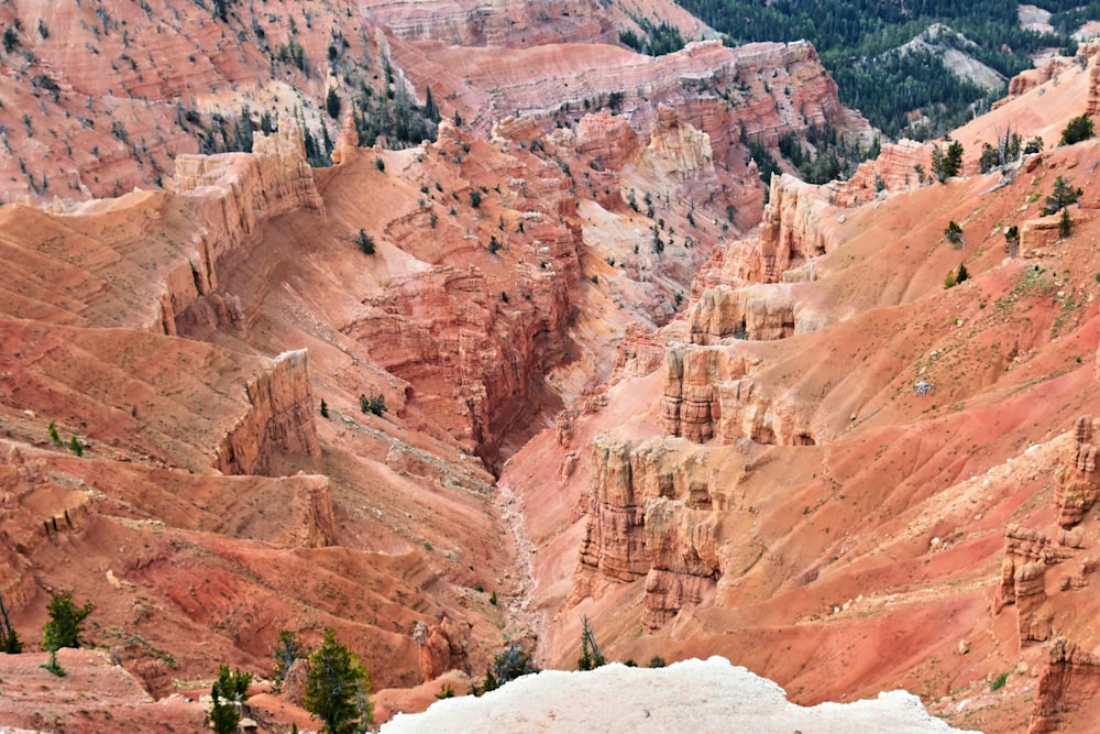 a man sitting on top of a mountain next to a forest