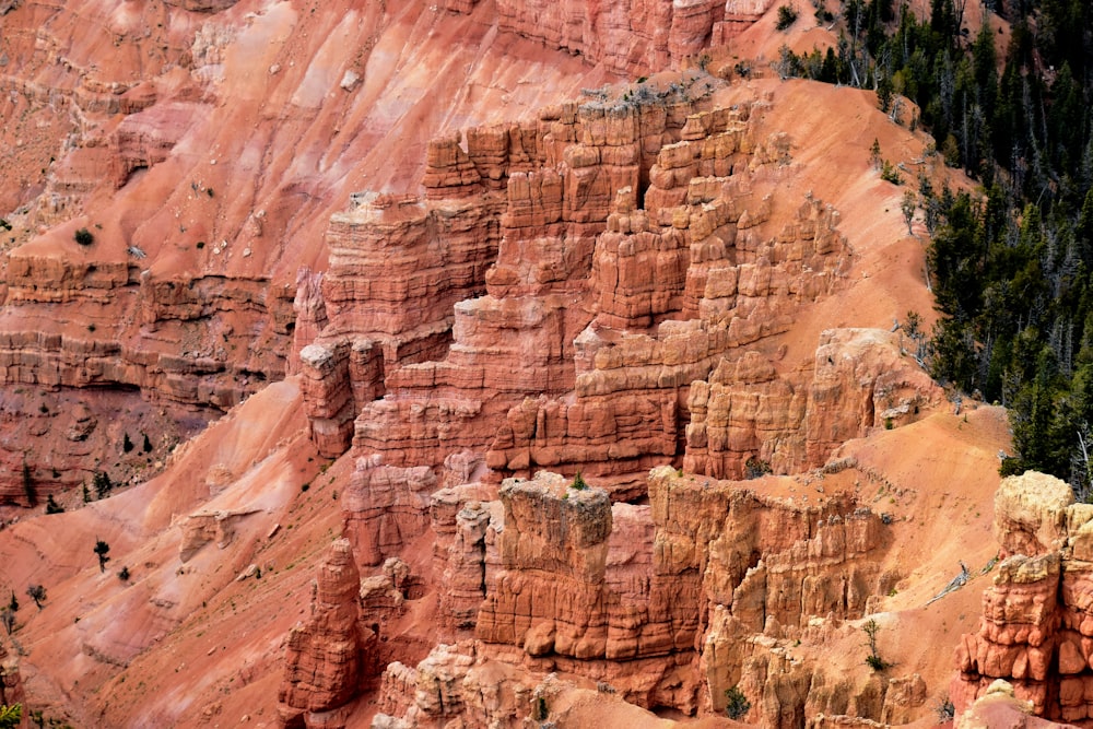 a group of people standing on top of a cliff