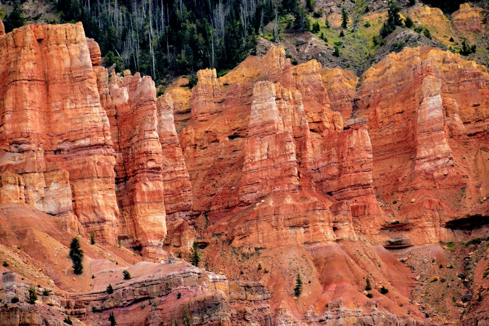 a large group of red rocks with trees in the background