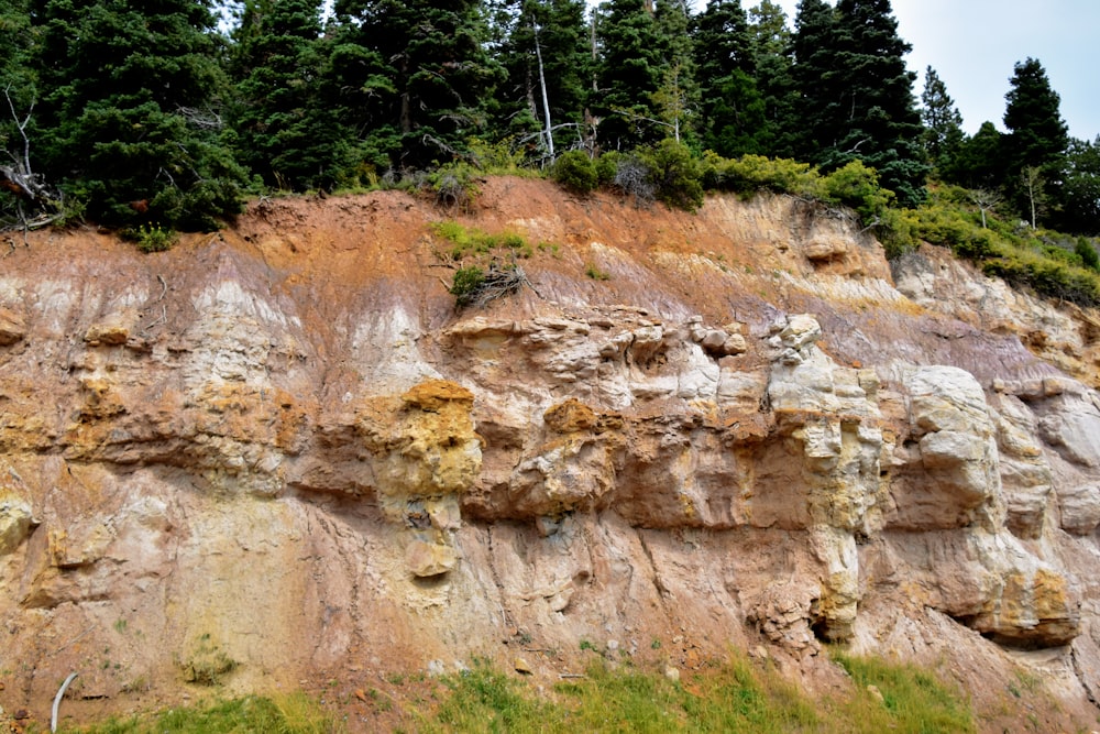 a cliff face with trees in the background