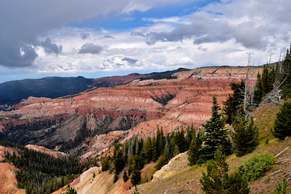 a scenic view of the mountains and trees