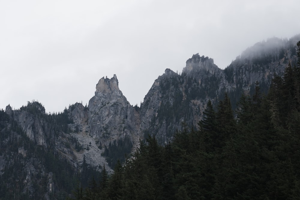 Un grupo de montañas con árboles en primer plano