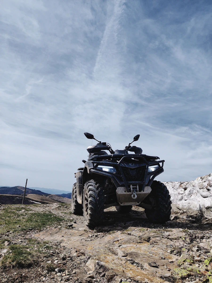 Wildlife Offroading