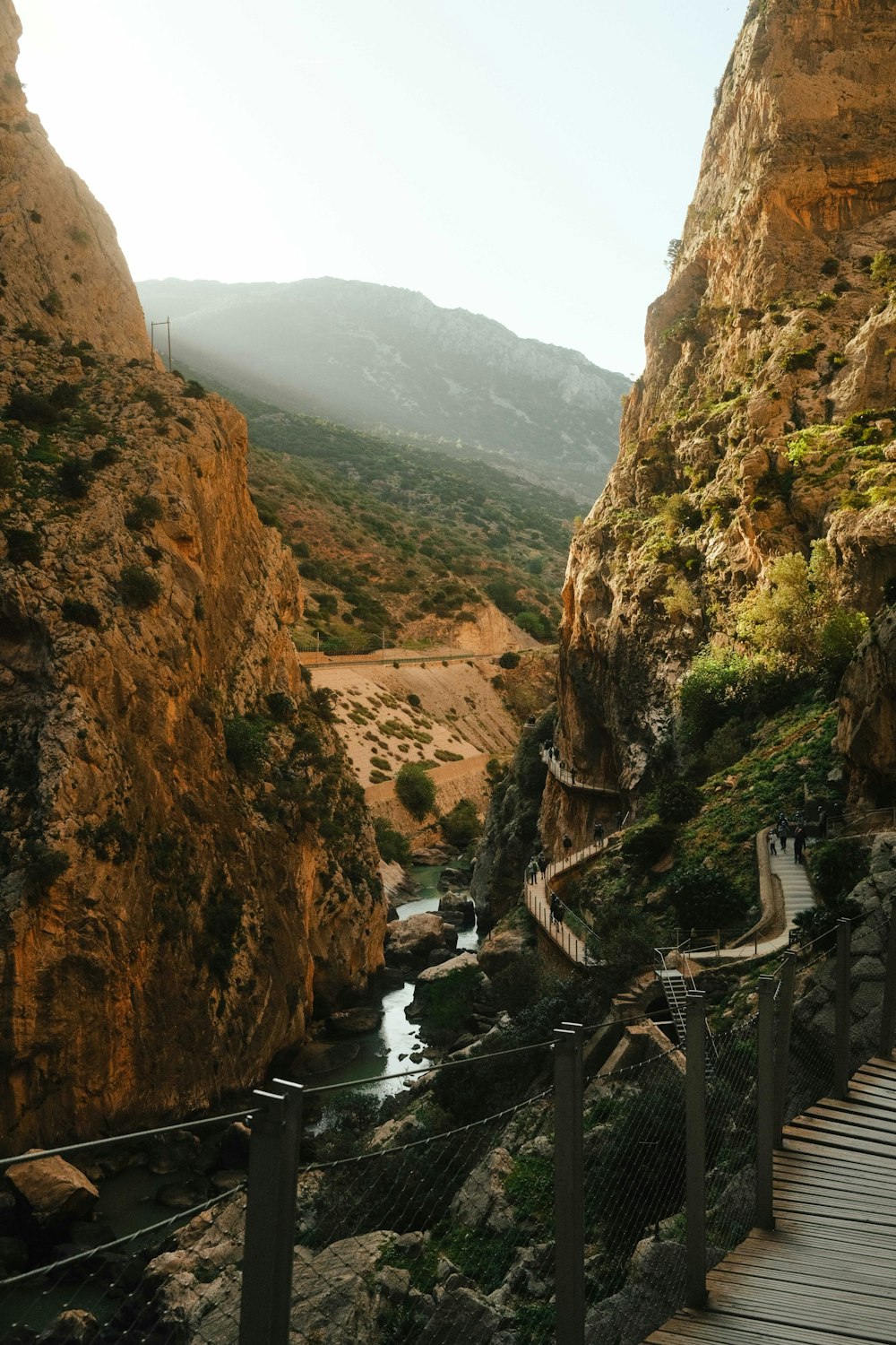 una pasarela de madera junto a un río en un cañón