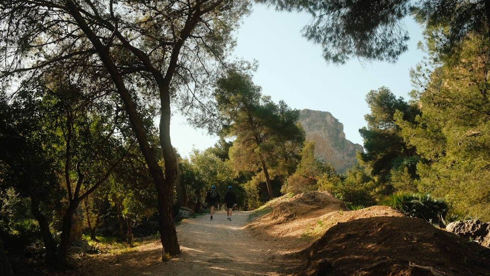 a dirt road surrounded by trees and rocks