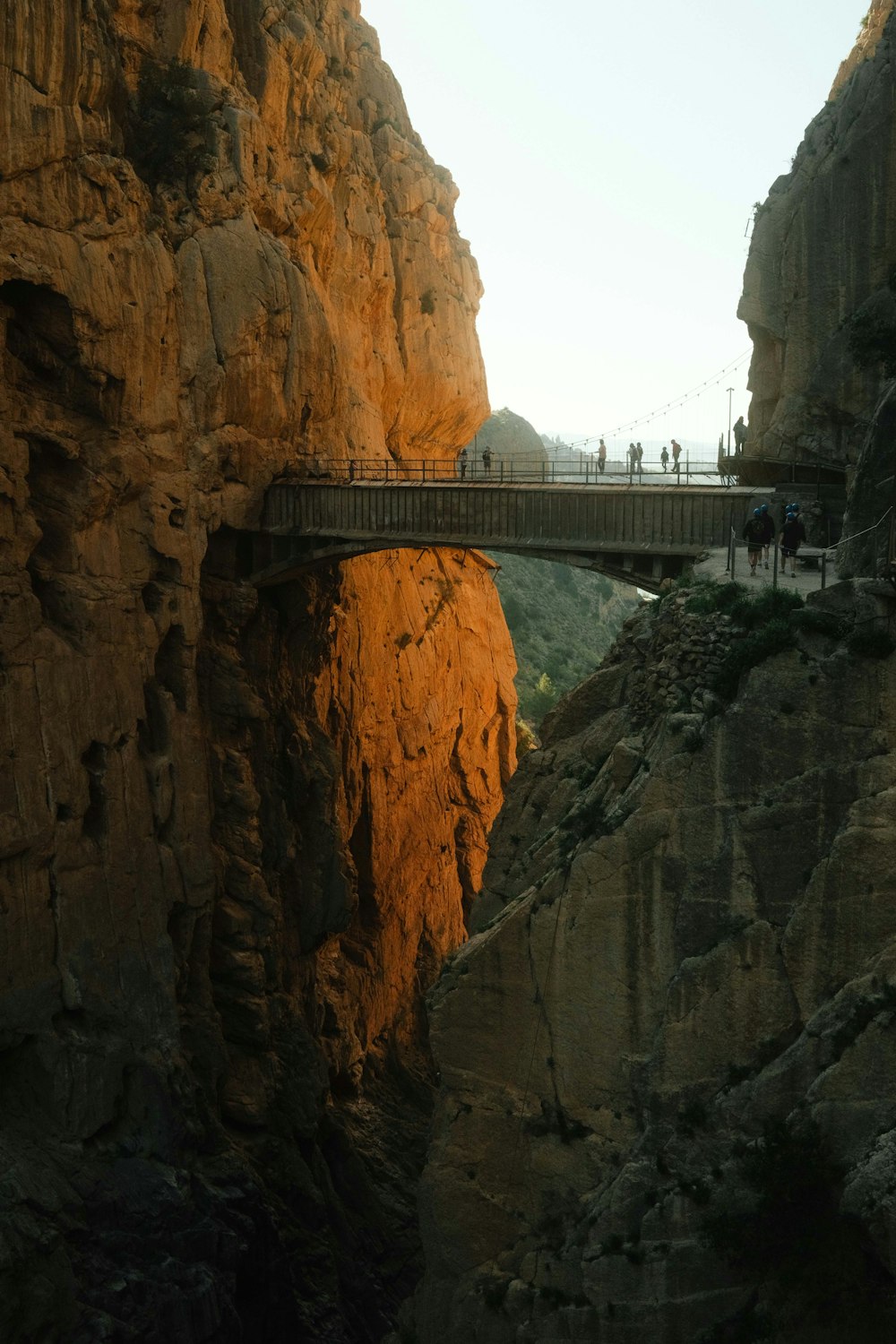 Un puente sobre un cañón con gente caminando sobre él