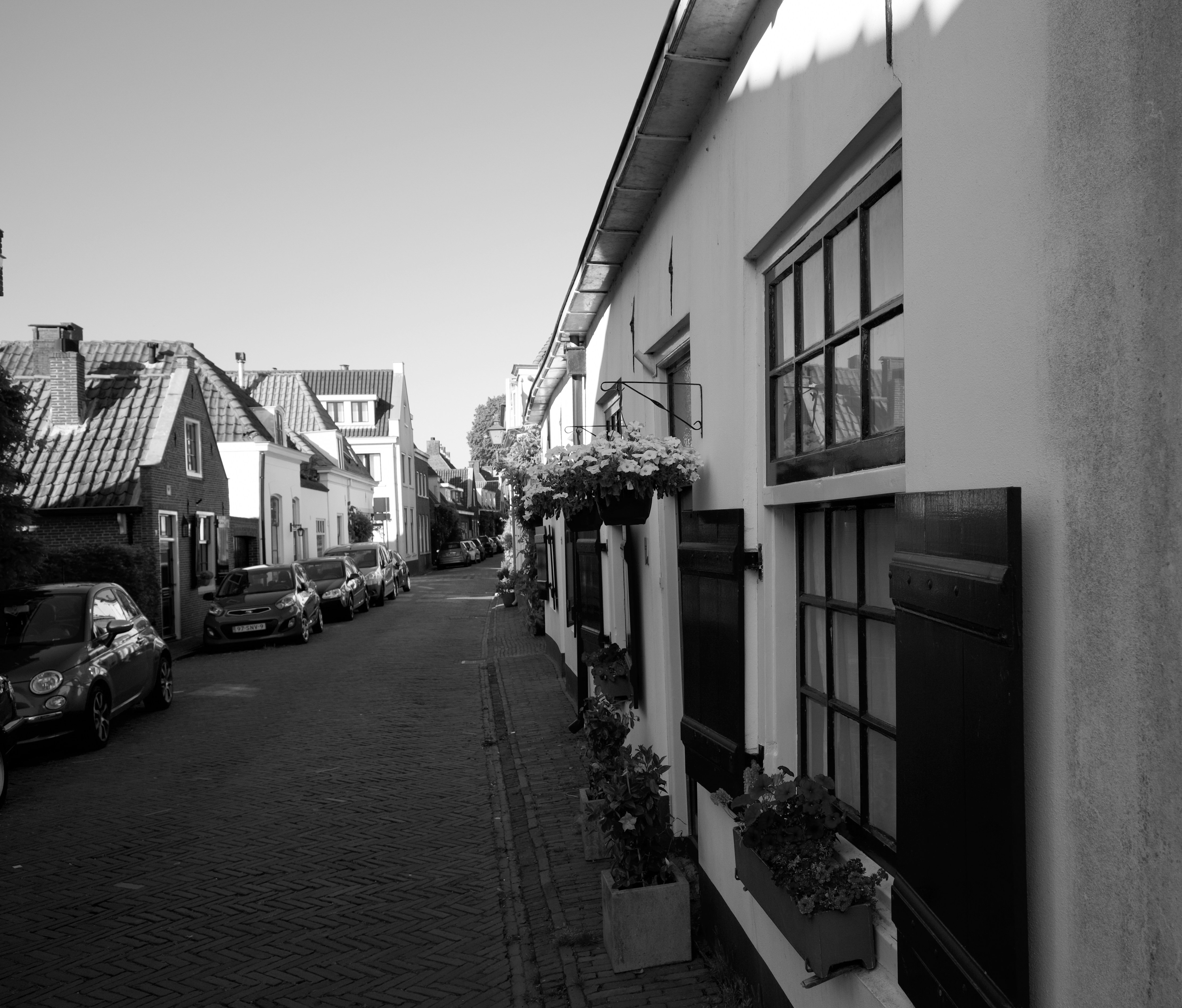 Photo by haberdoedas2