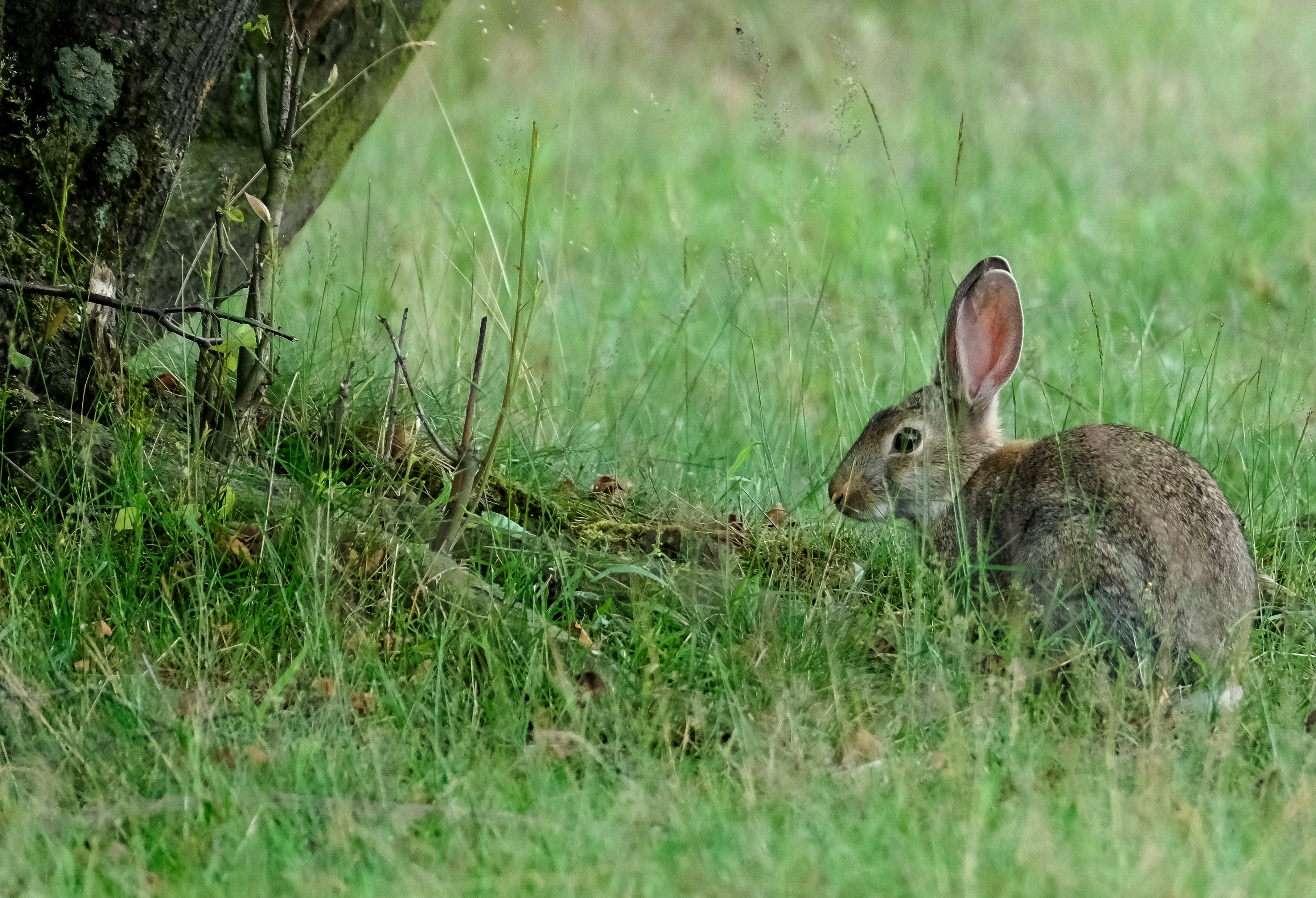 Photo by haberdoedas2