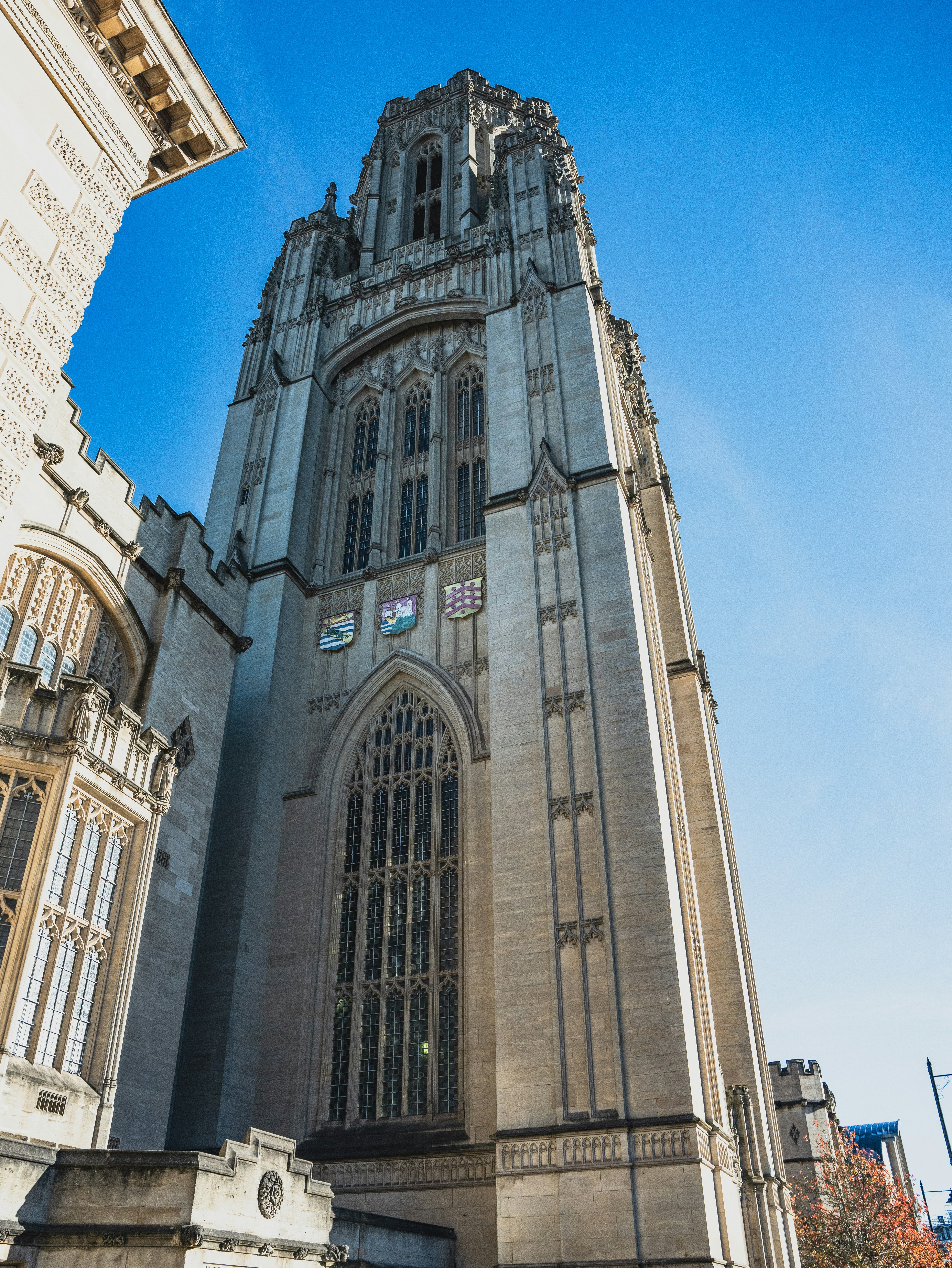 Photo by winstontjia