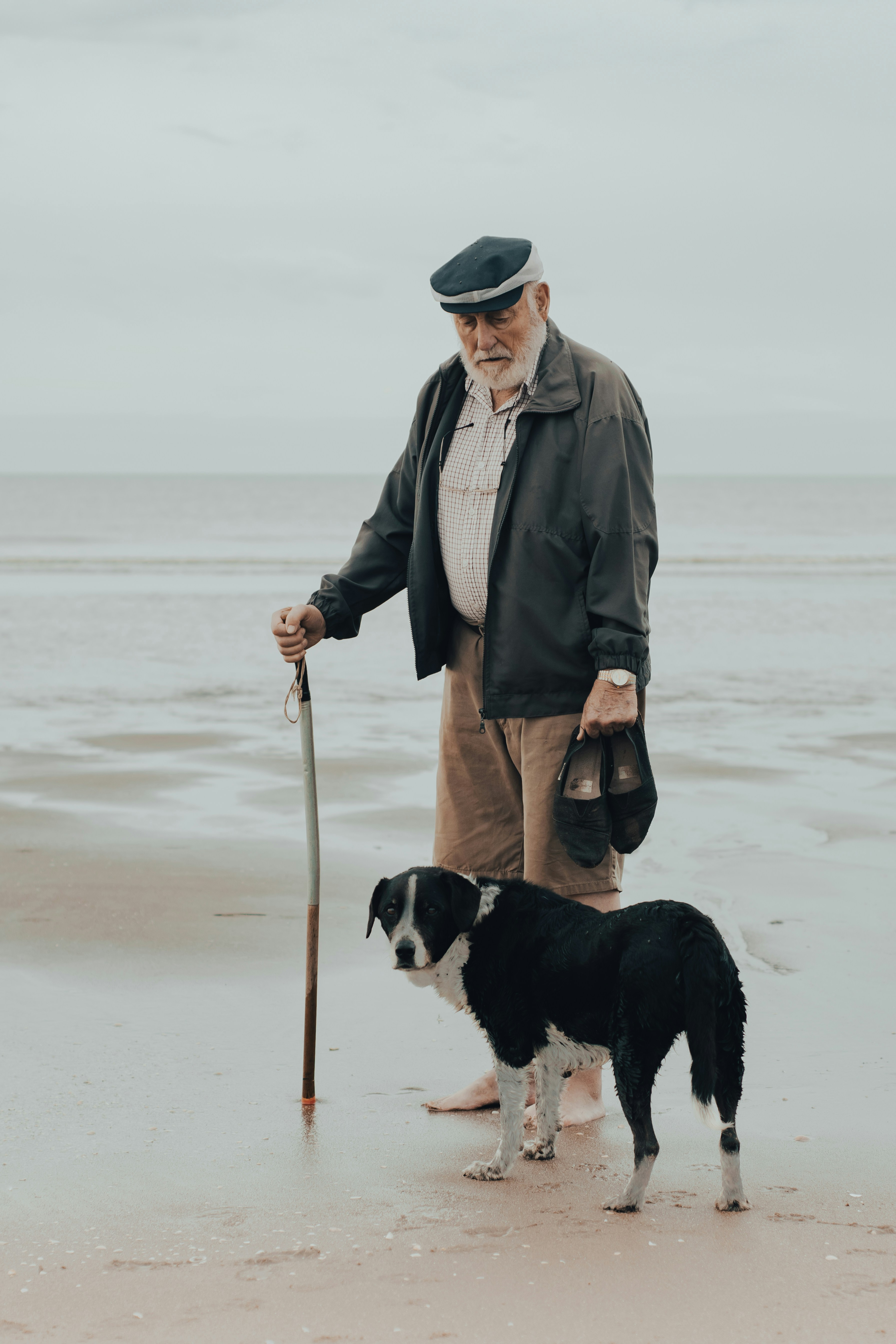 a man standing next to a black and white dog on a beach