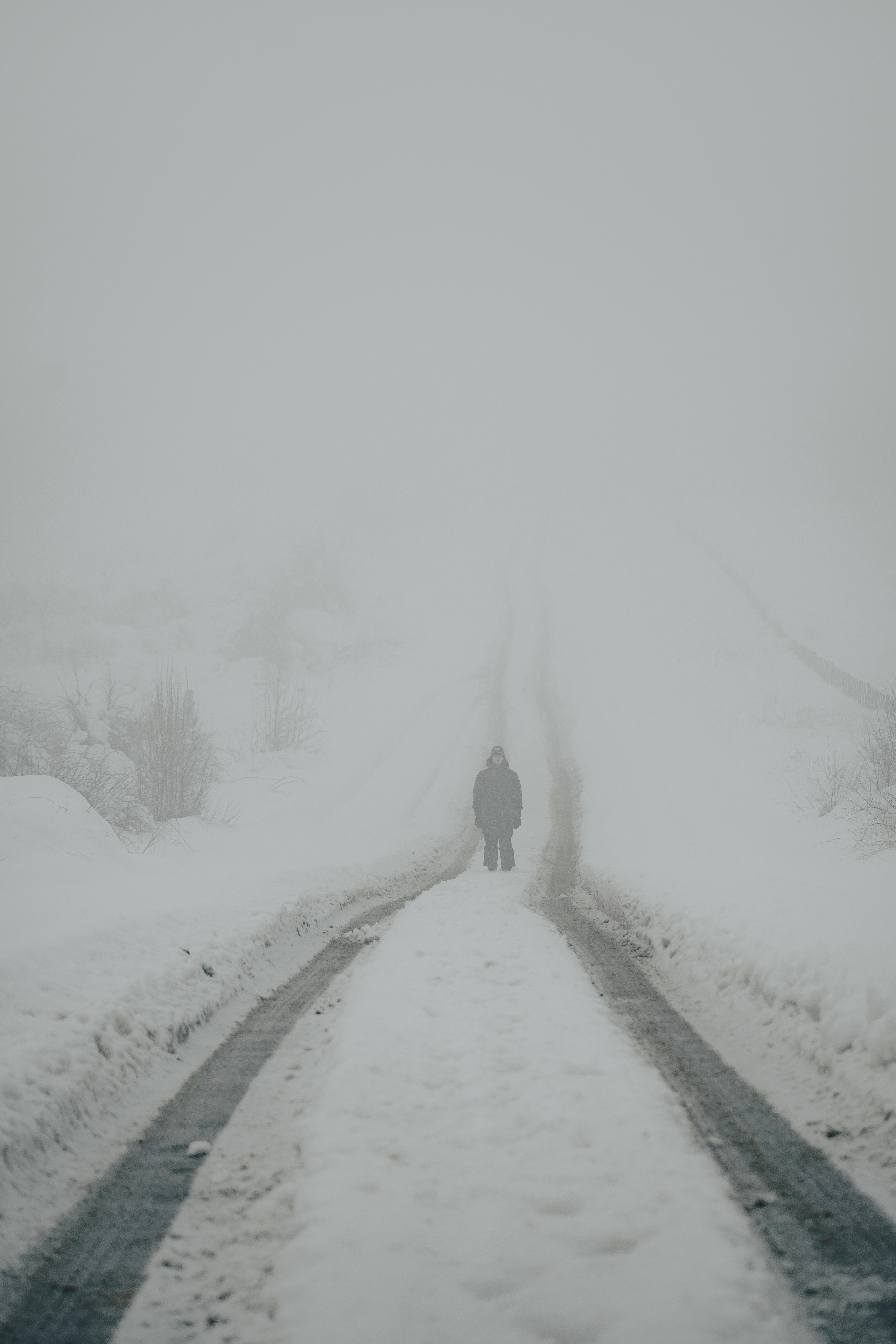 Photo by gasparzaldo