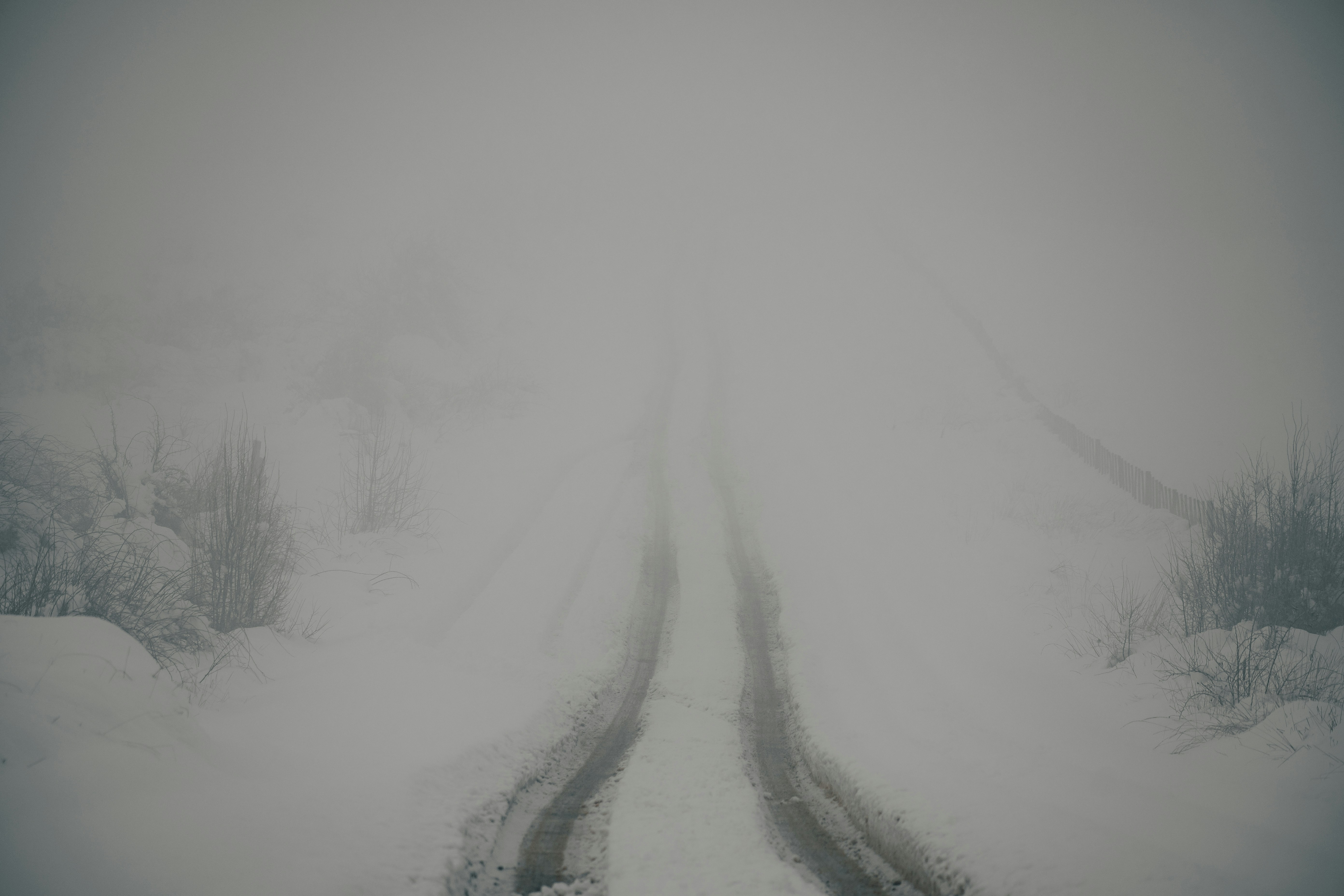 Photo by gasparzaldo