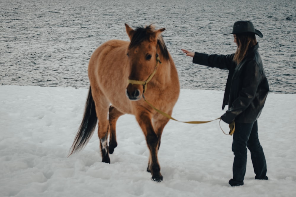 a woman standing next to a brown horse in the snow