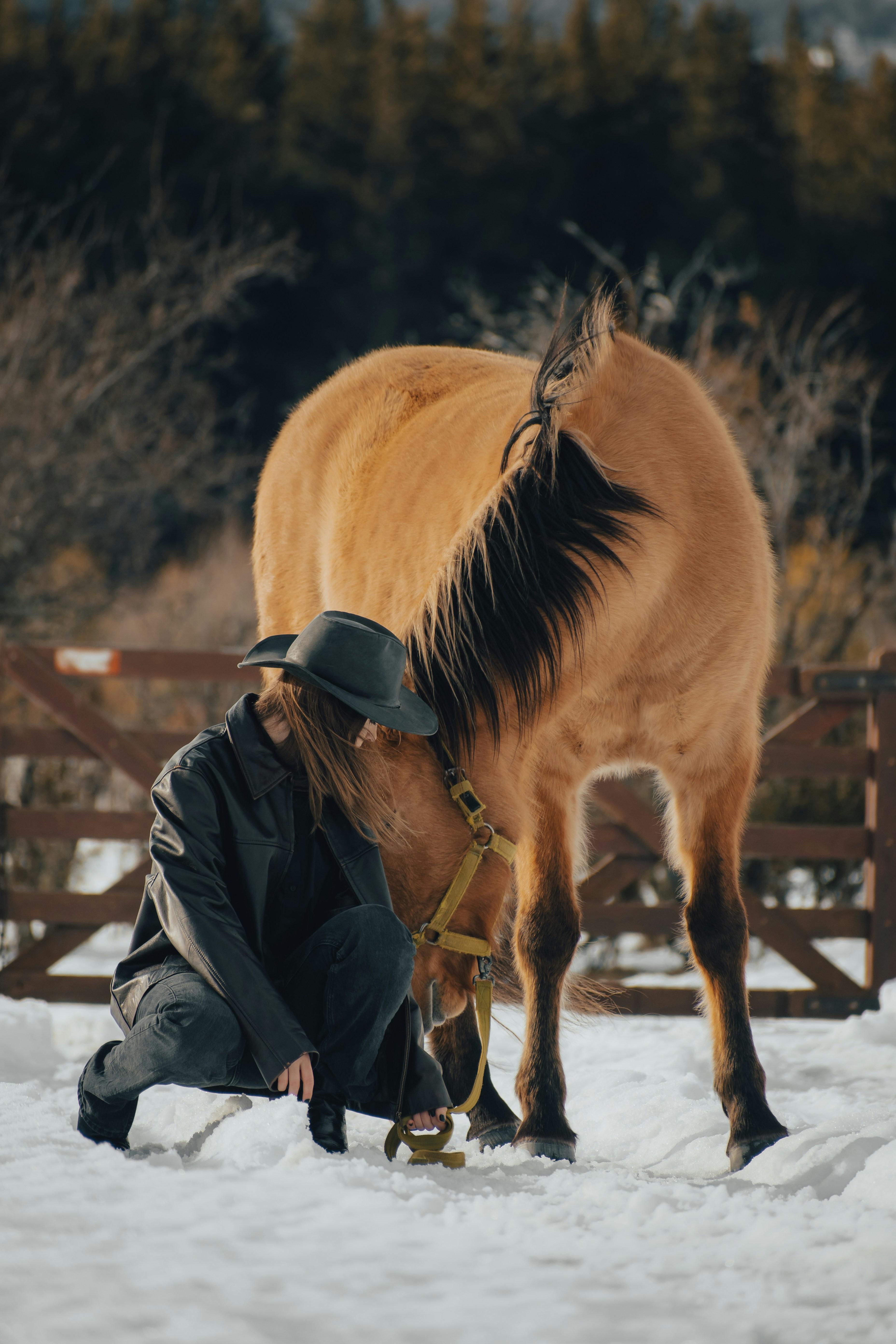 Photo by gasparzaldo