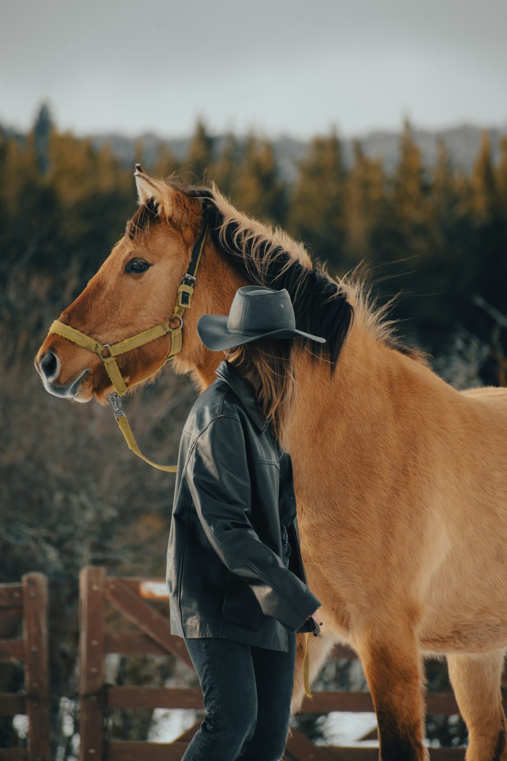 a person standing next to a brown horse