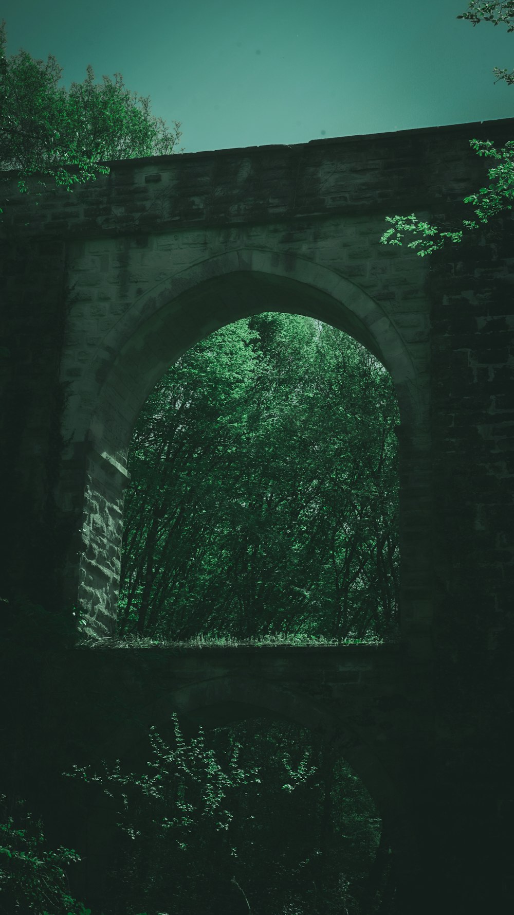 a bridge over a river surrounded by trees