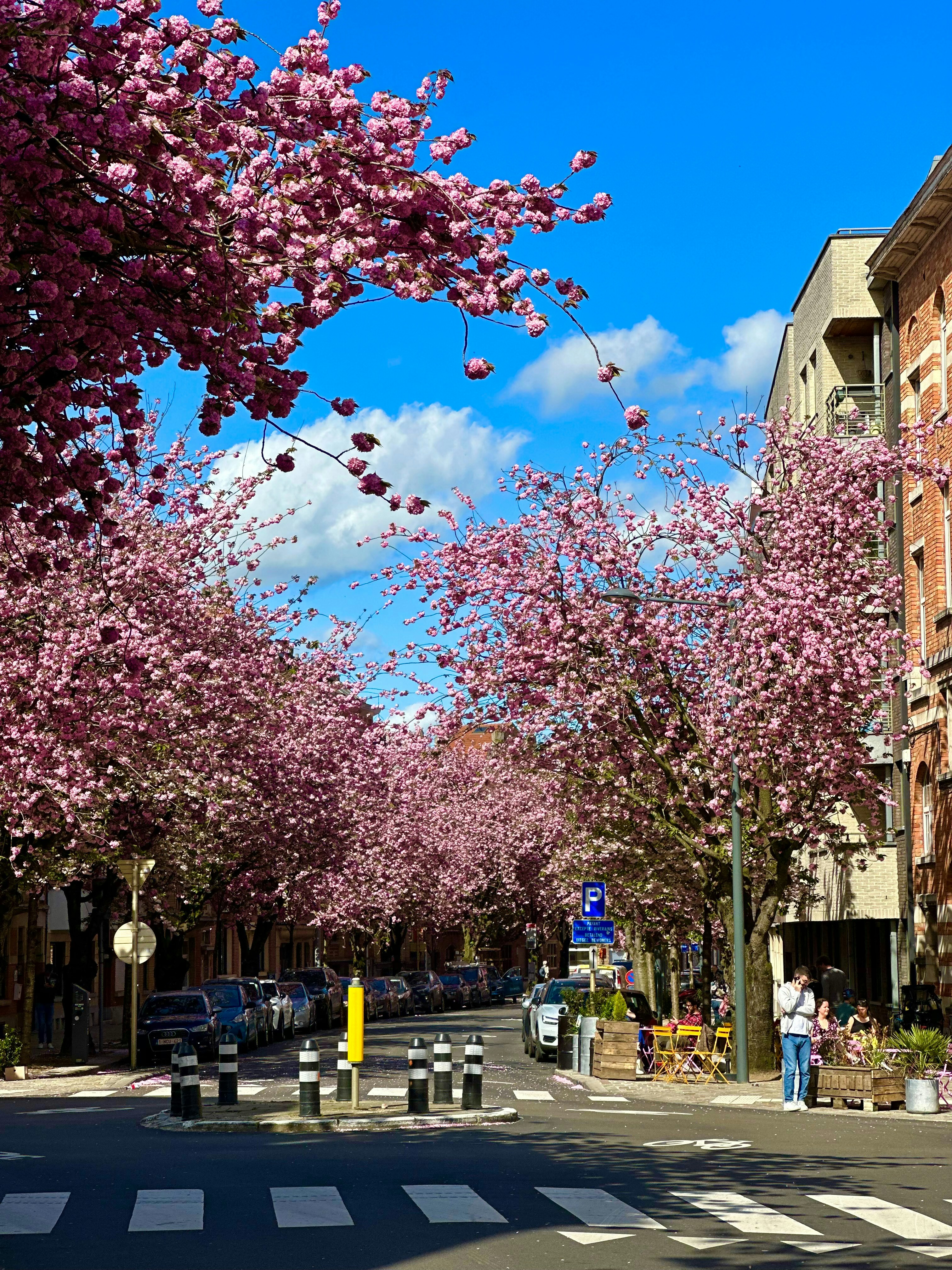 Photo by martin_numan