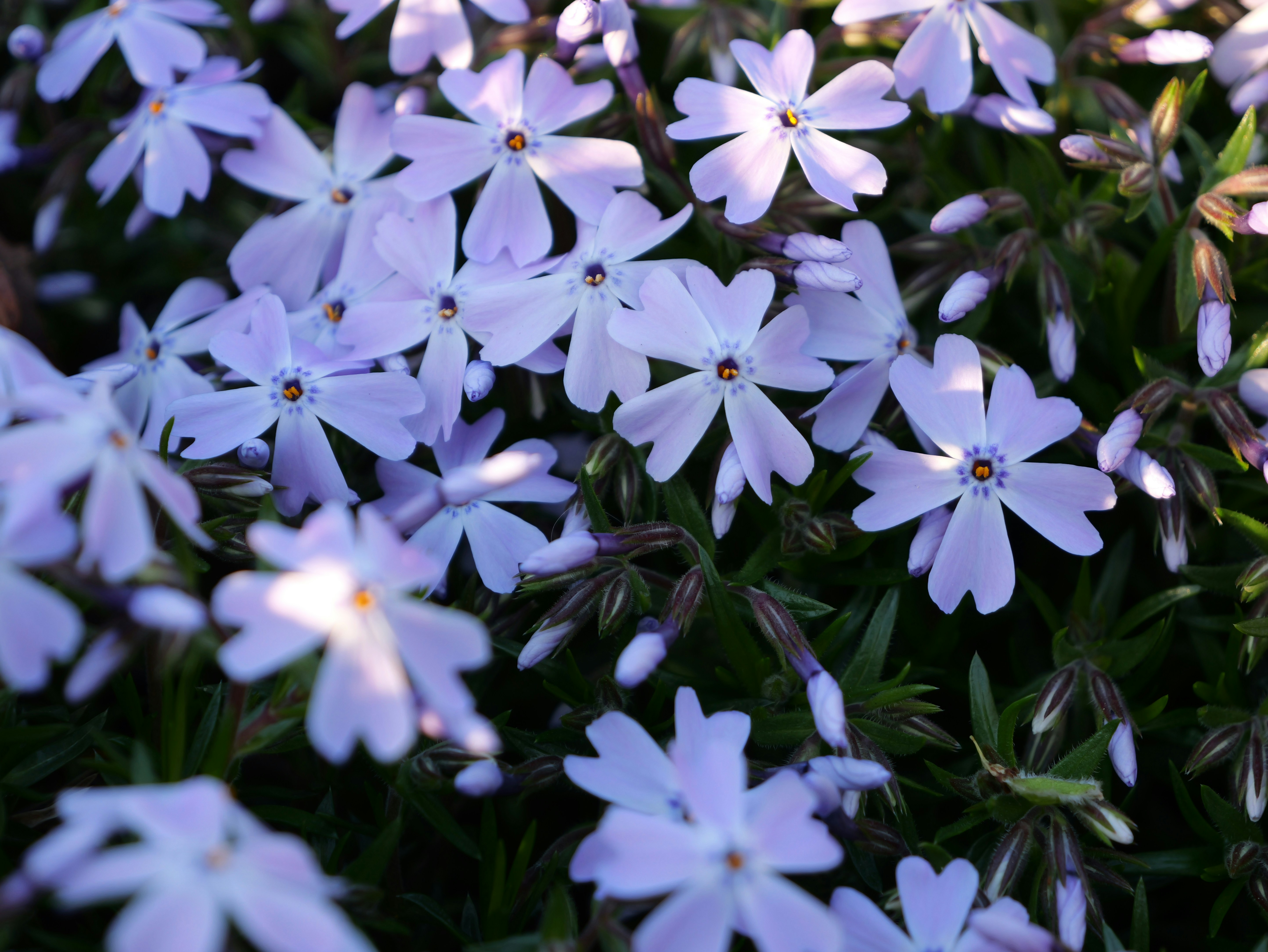 Photo by karonthompson