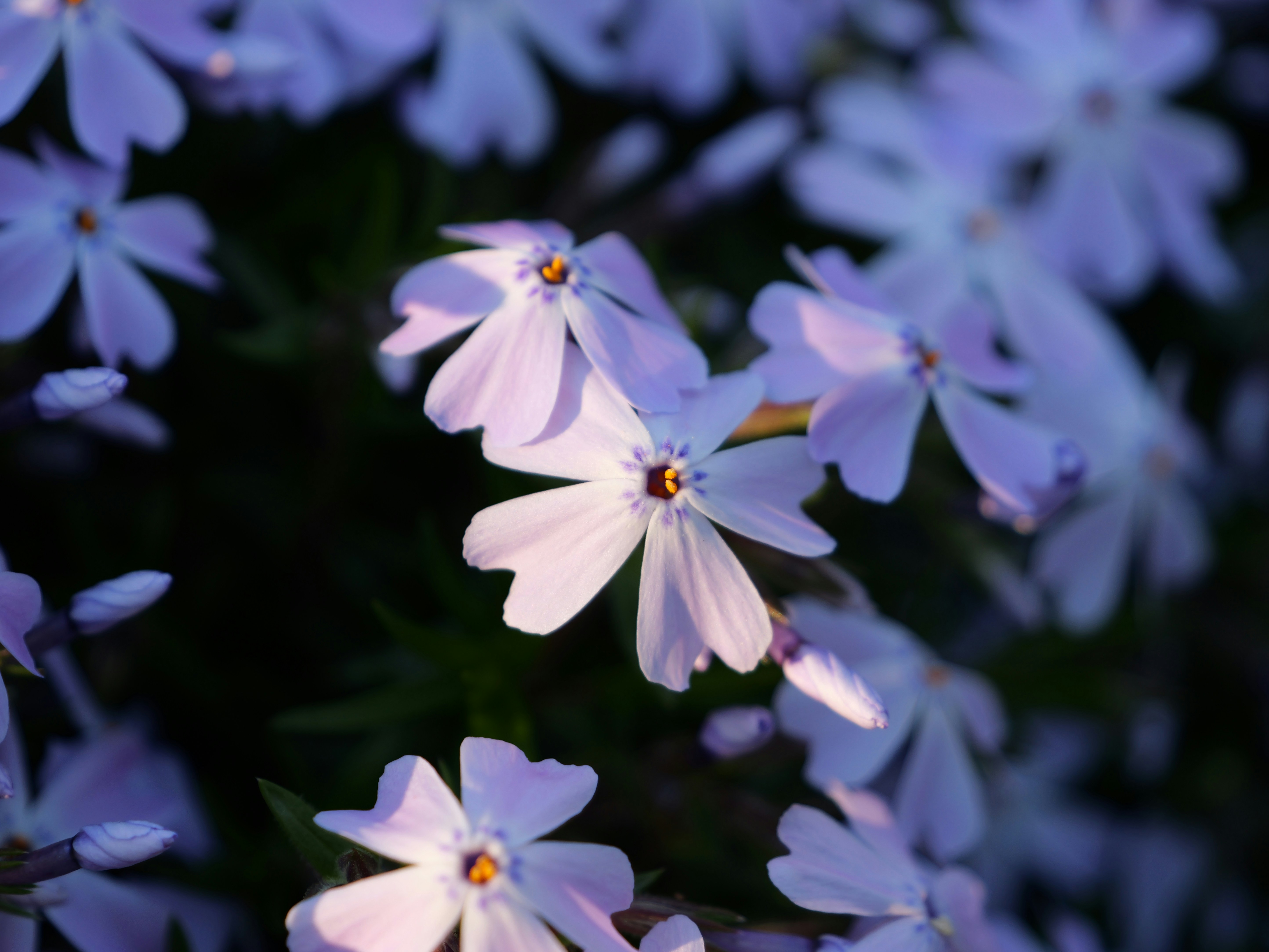 Photo by karonthompson