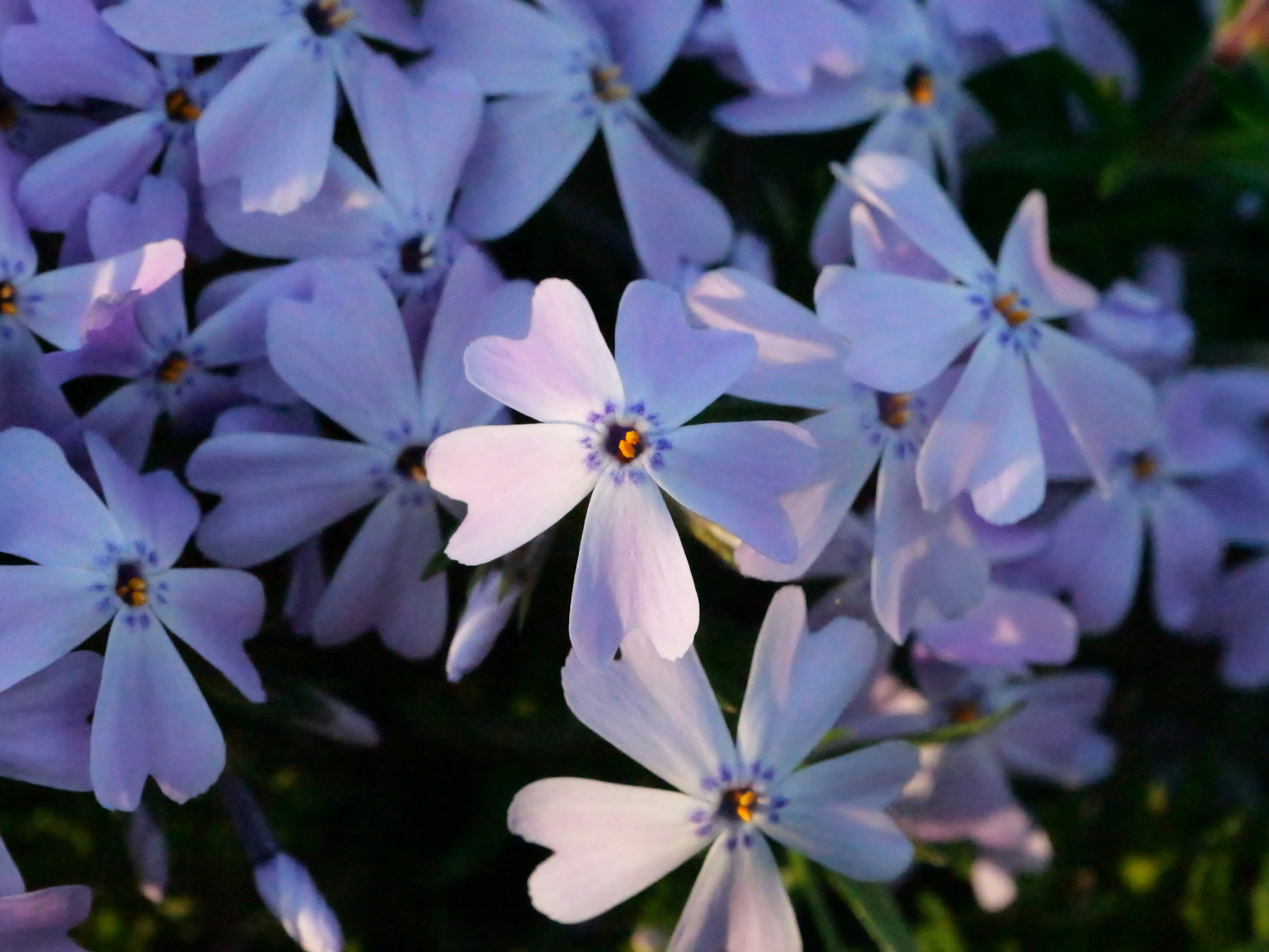 Photo by karonthompson