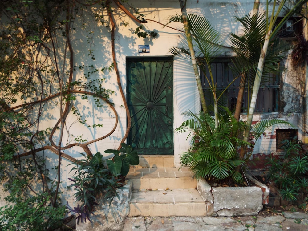 a house with a green door surrounded by greenery